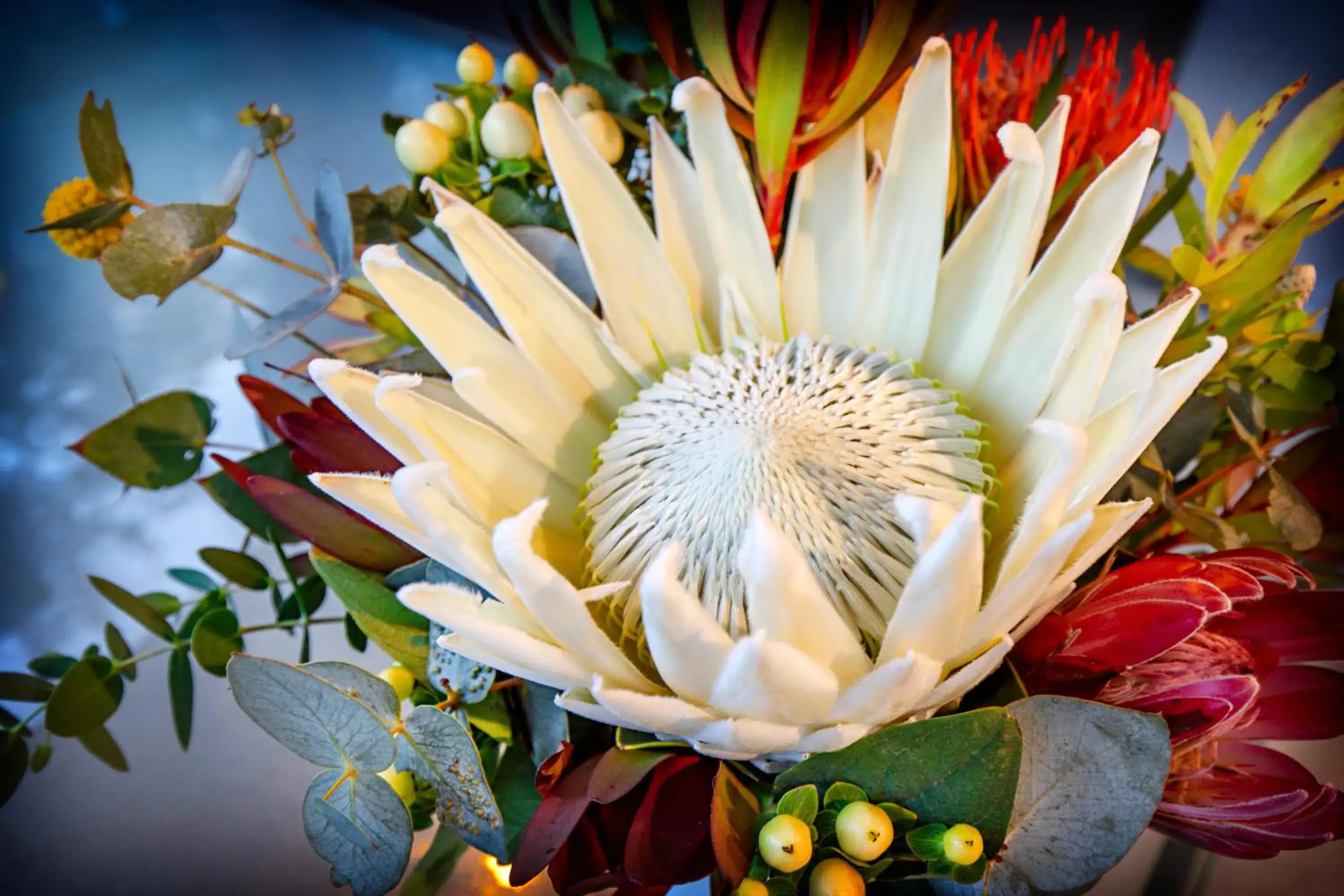 Decorative detail, Other Animals in Airlie Beach Eco Cabins - Adults Only