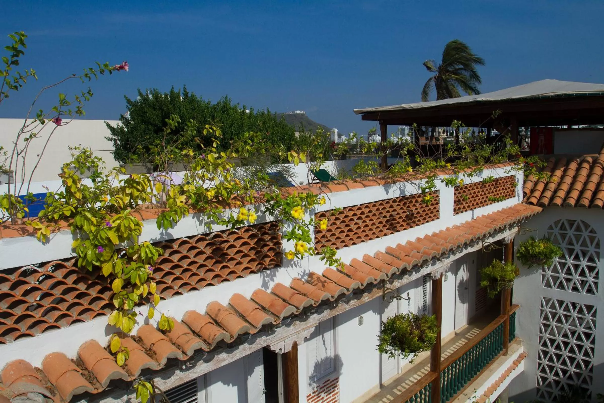 Decorative detail in Casa Pizarro Hotel Boutique
