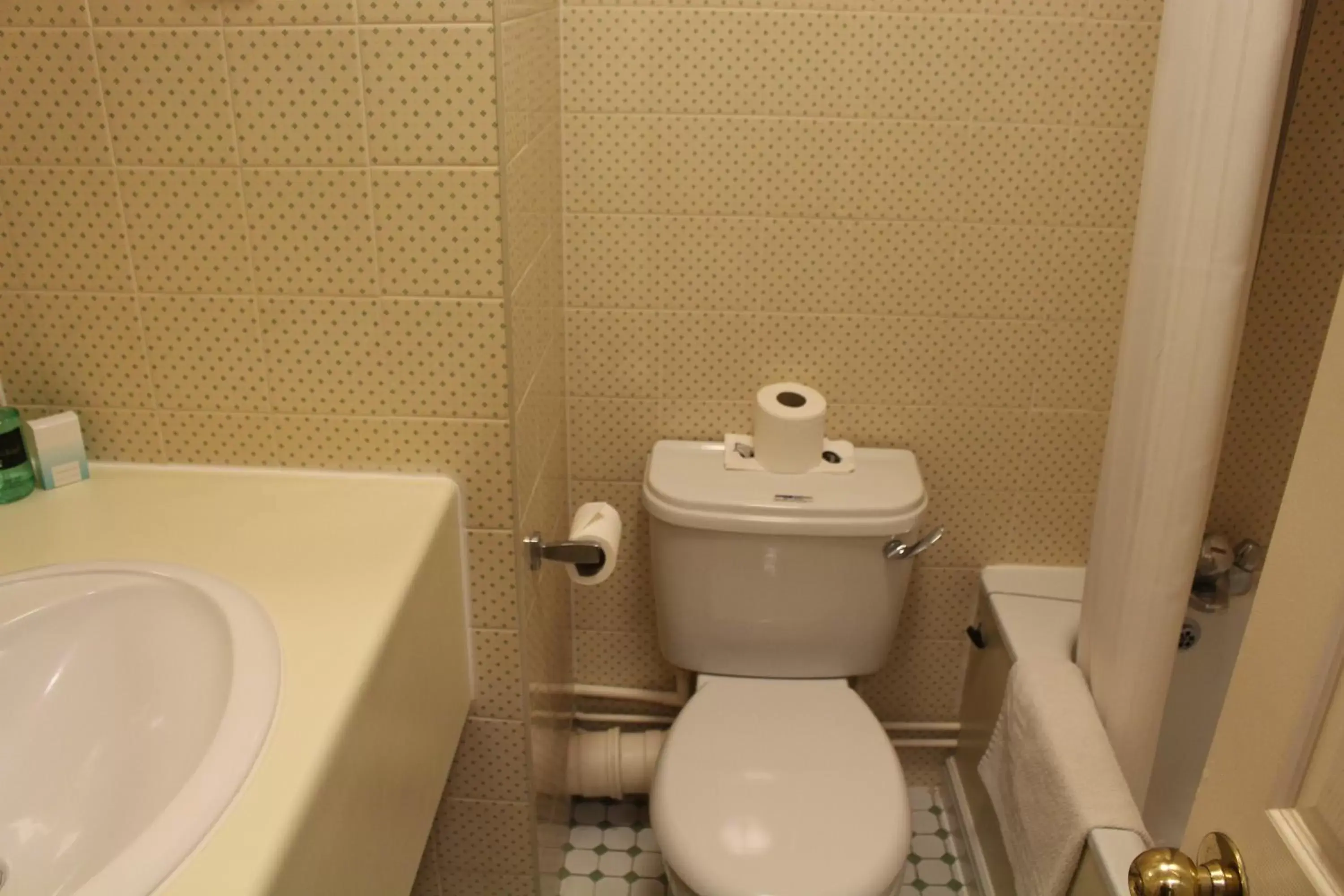 Toilet, Bathroom in Best Western Manor Hotel