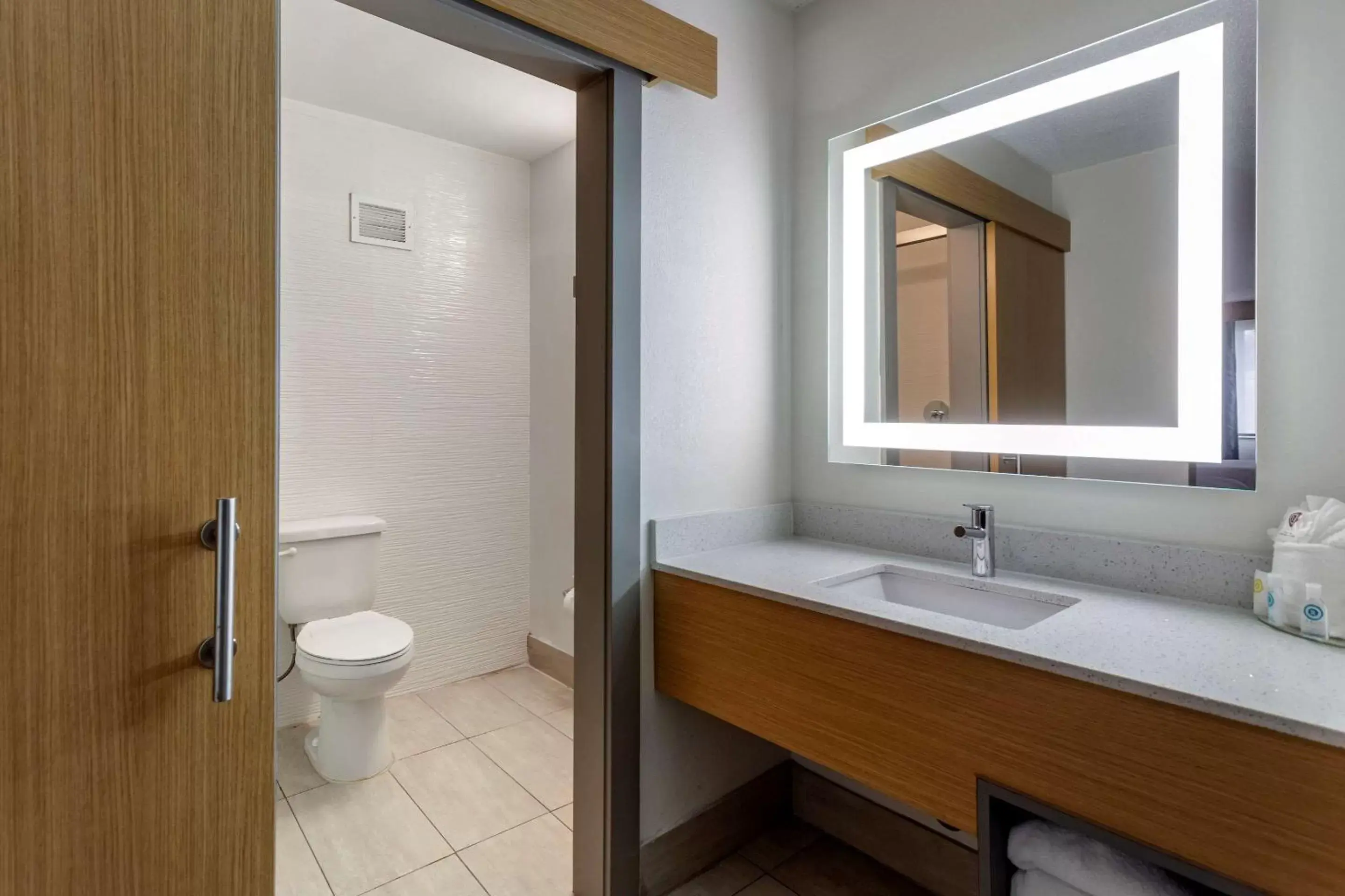Bathroom in Comfort Inn & Suites Nashville Downtown - Stadium
