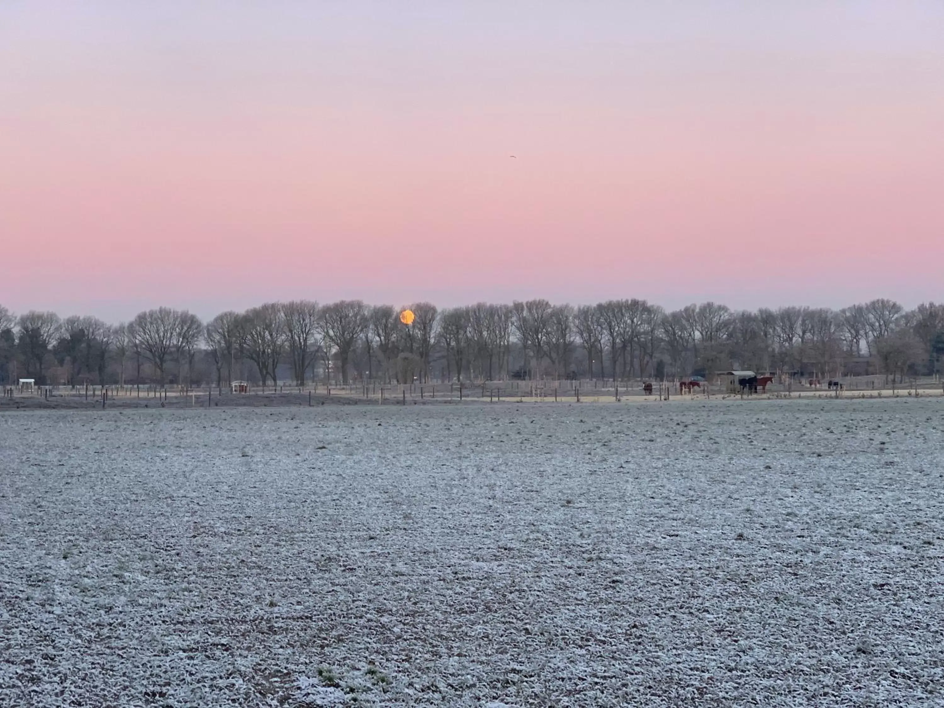 Sunset in Duynparc Soest