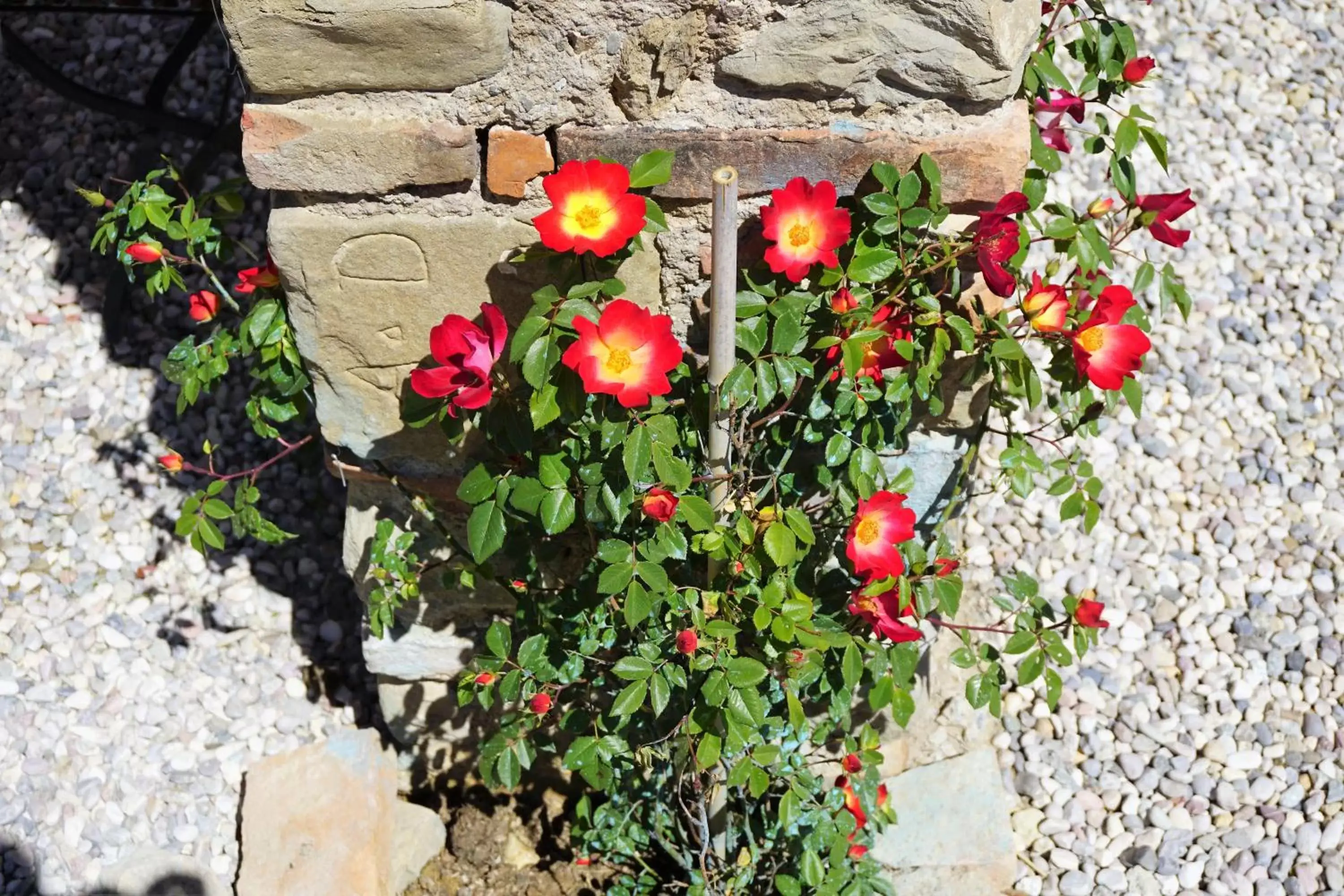 Garden in Casatorta