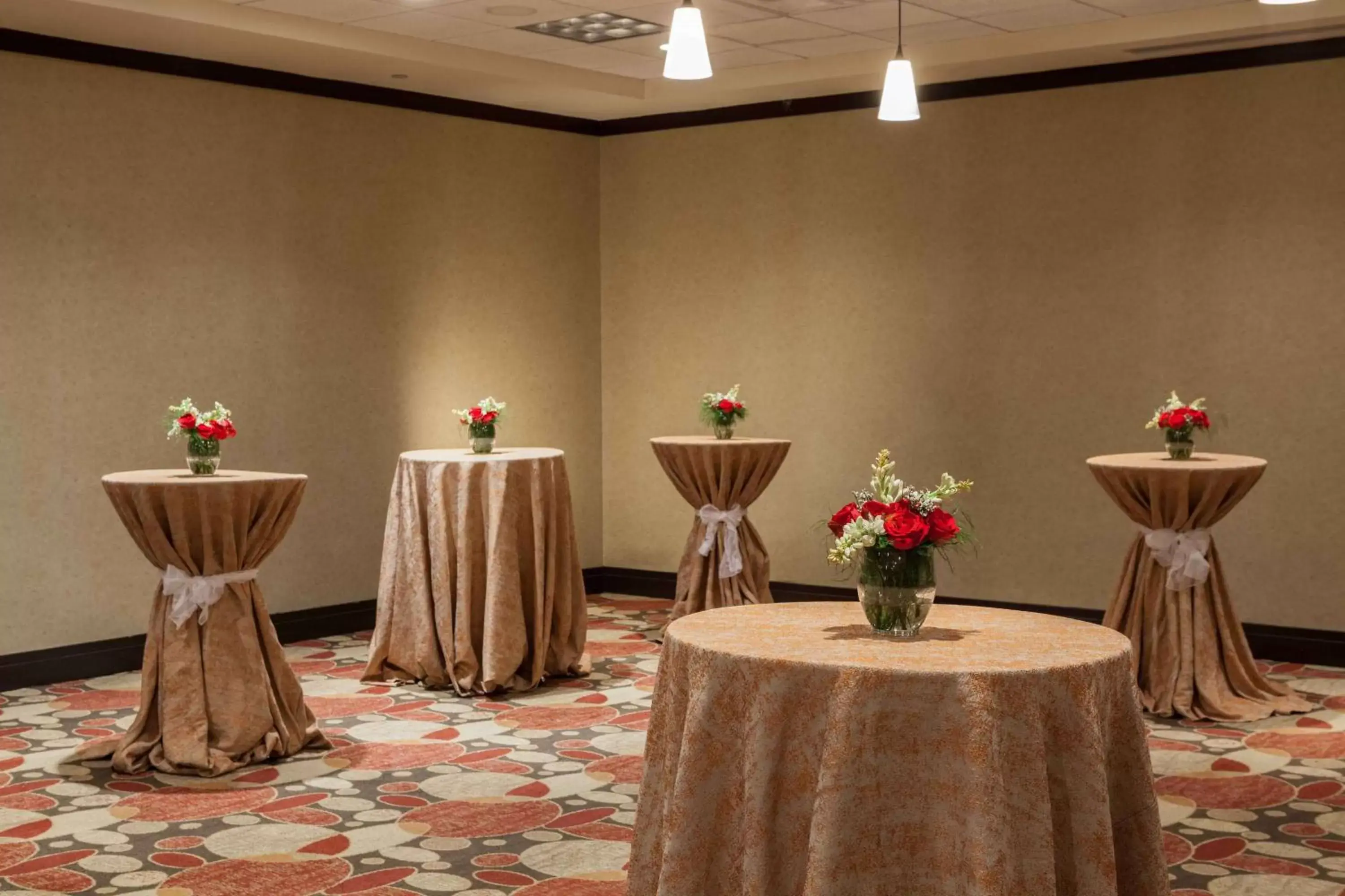 Meeting/conference room, Banquet Facilities in Hilton Garden Inn El Paso University