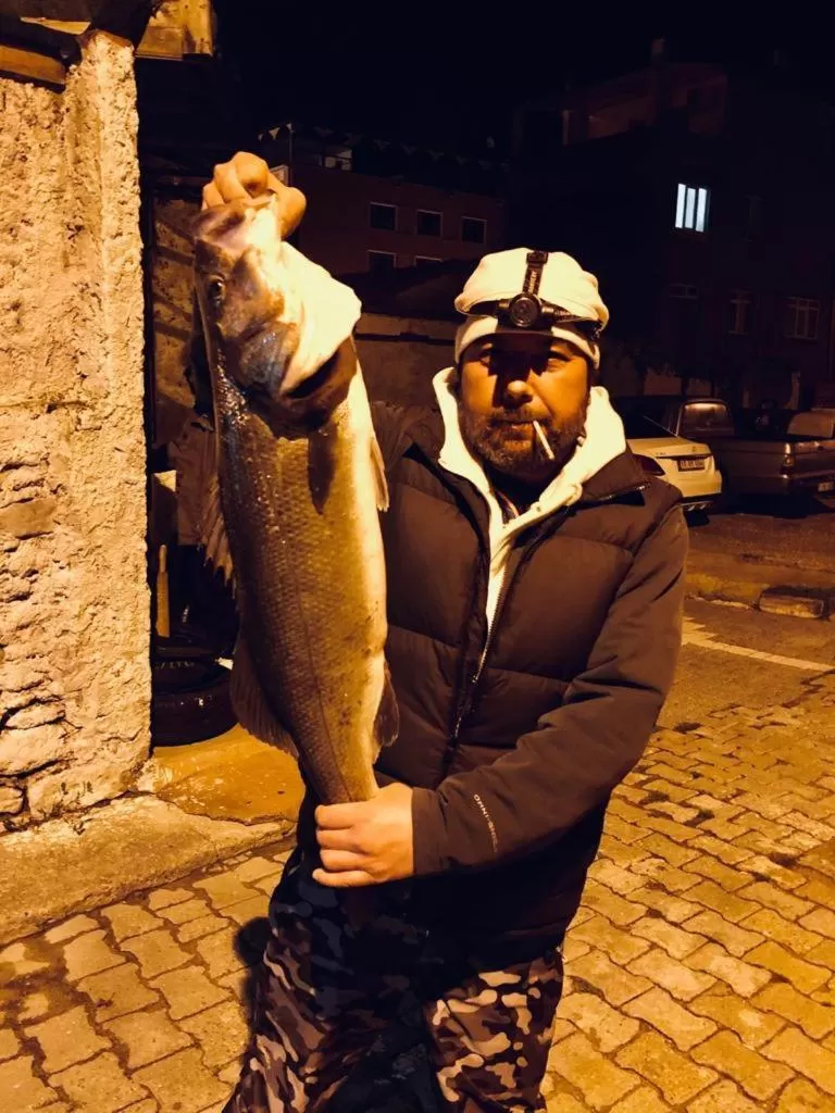 Night in Hotel Crowded House