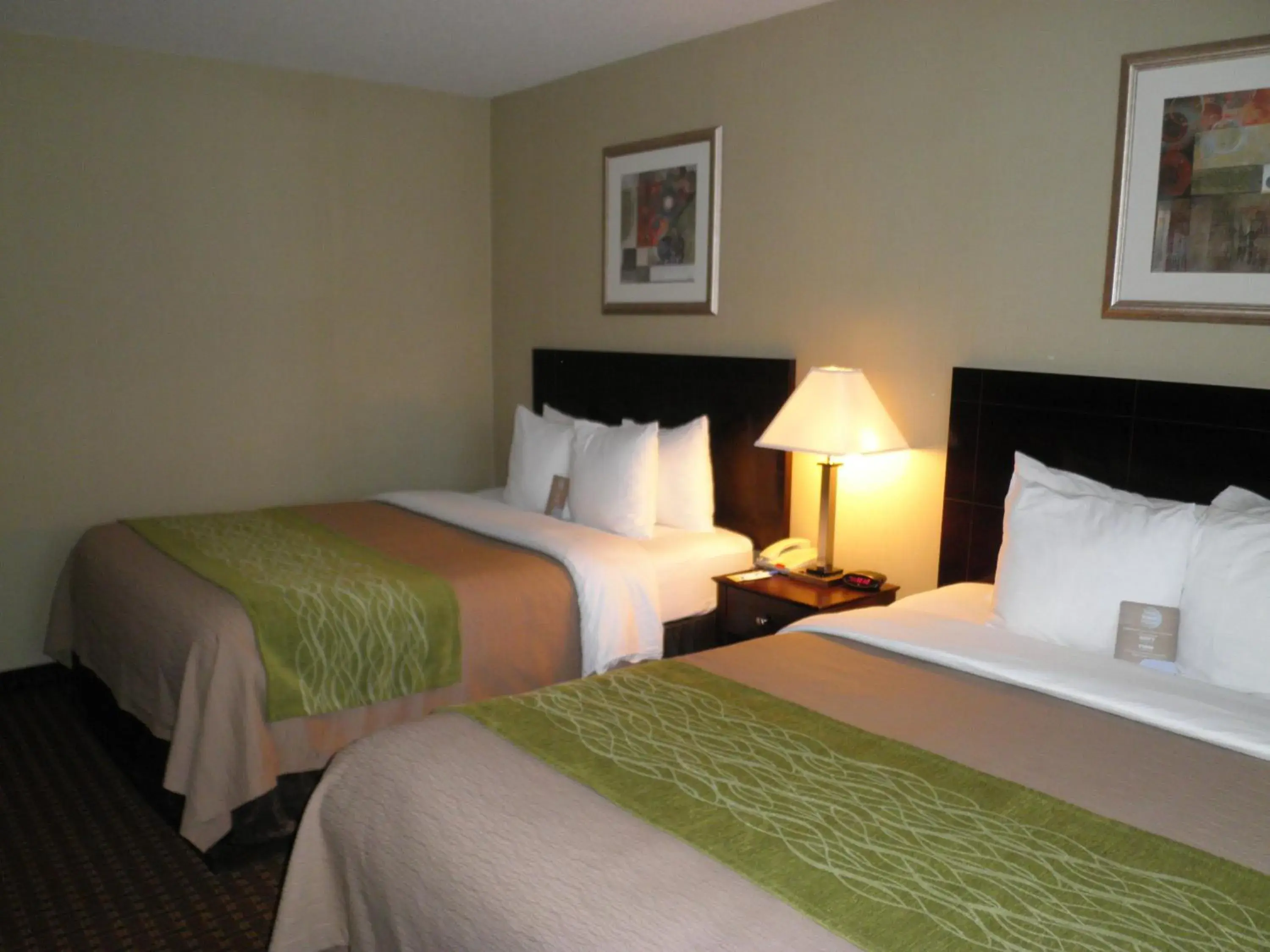 Queen Room with Two Queen Beds - Non-Smoking in Avon Hotel - Toms River