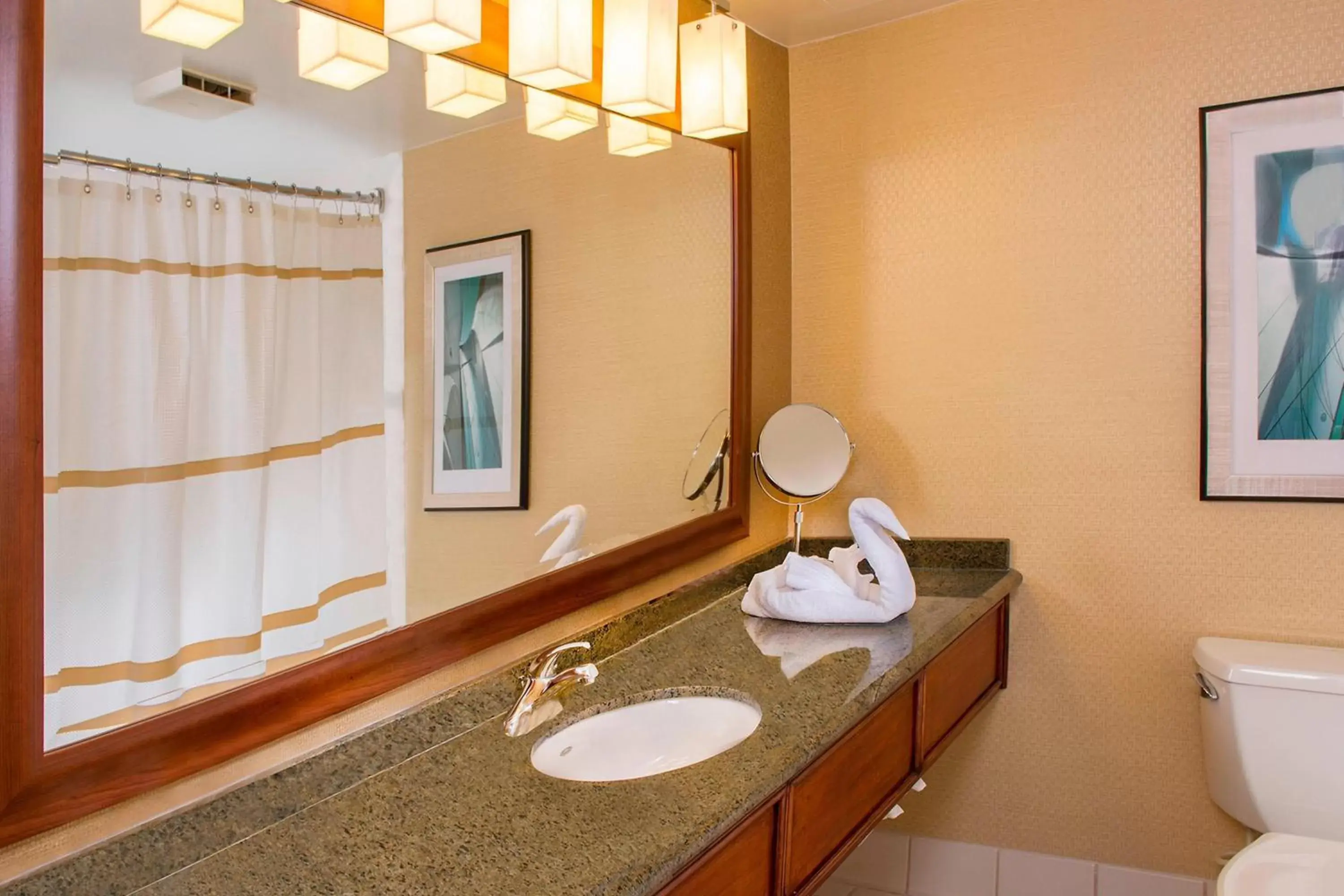 Bathroom in BWI Airport Marriott