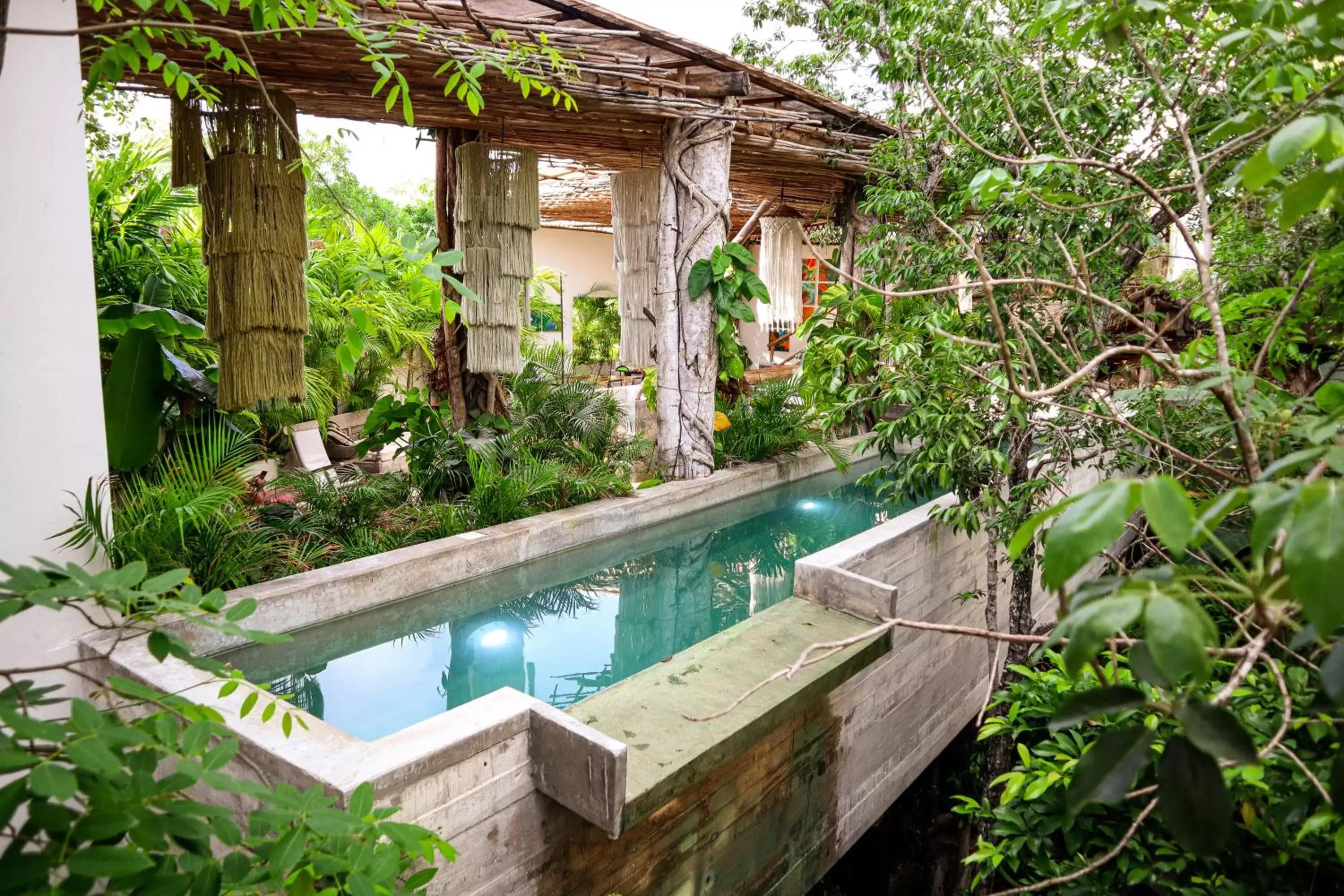 Swimming Pool in Orchid House Tulum
