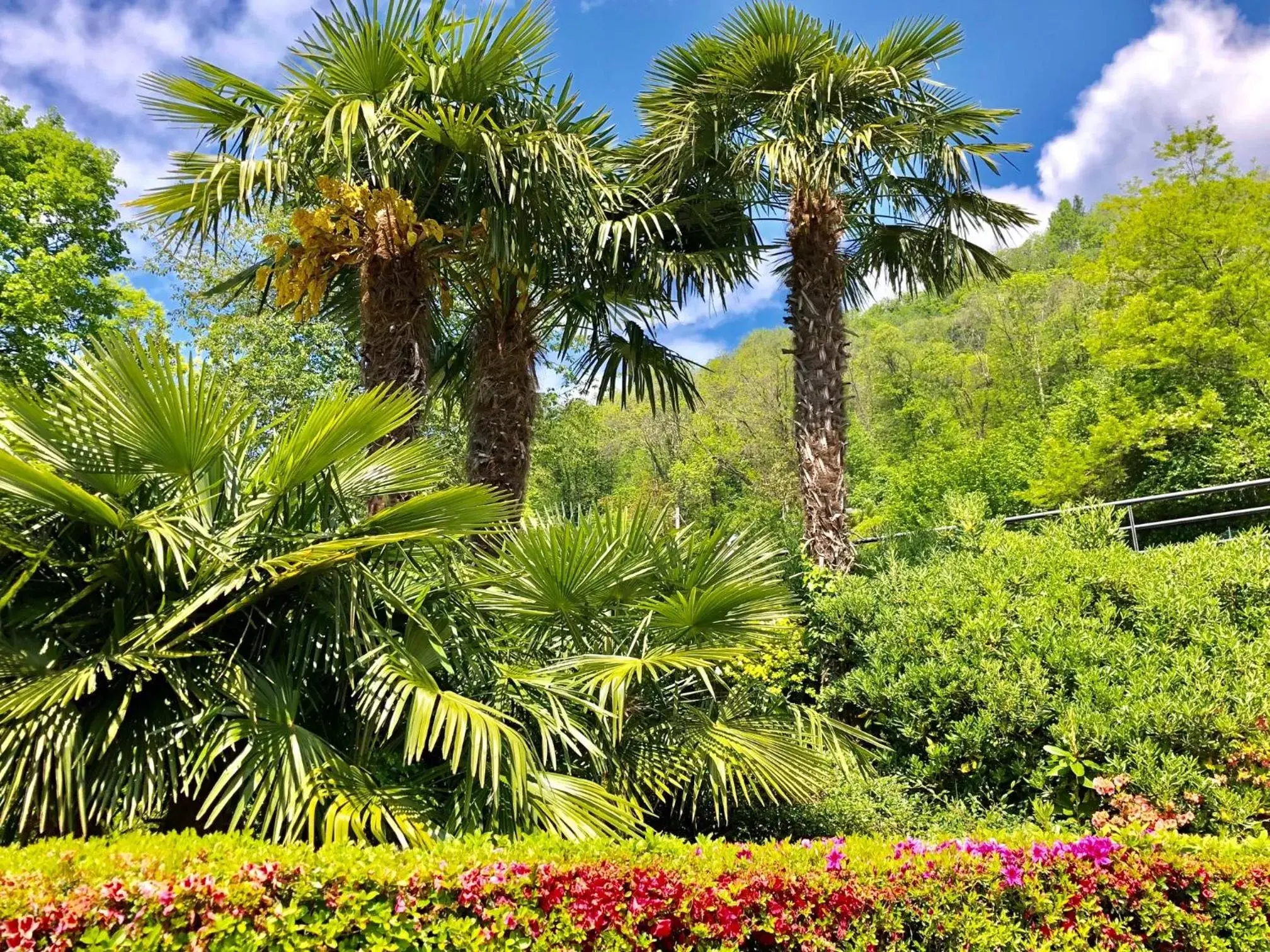 Garden in Residenza Ai Ronchi 1 2 6