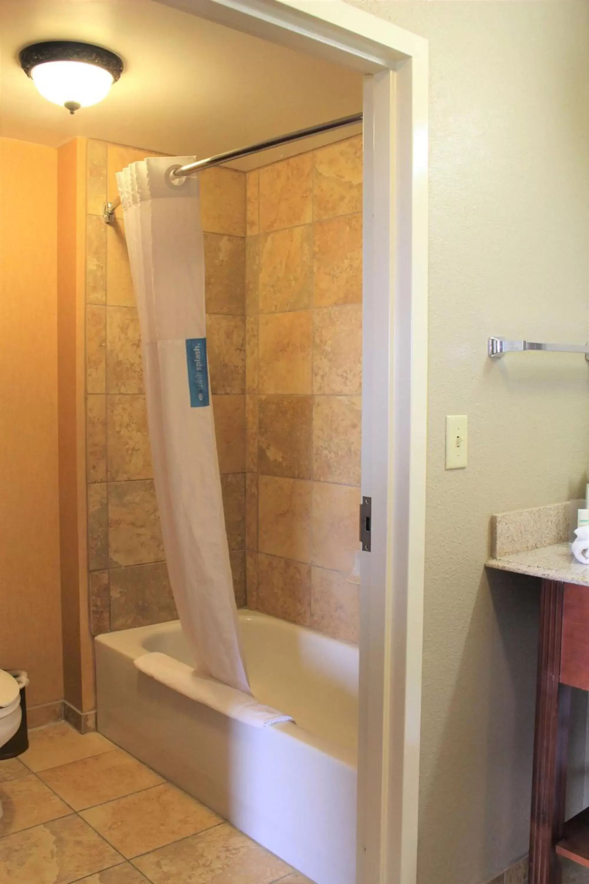 Bathroom in Hampton Inn & Suites Thibodaux