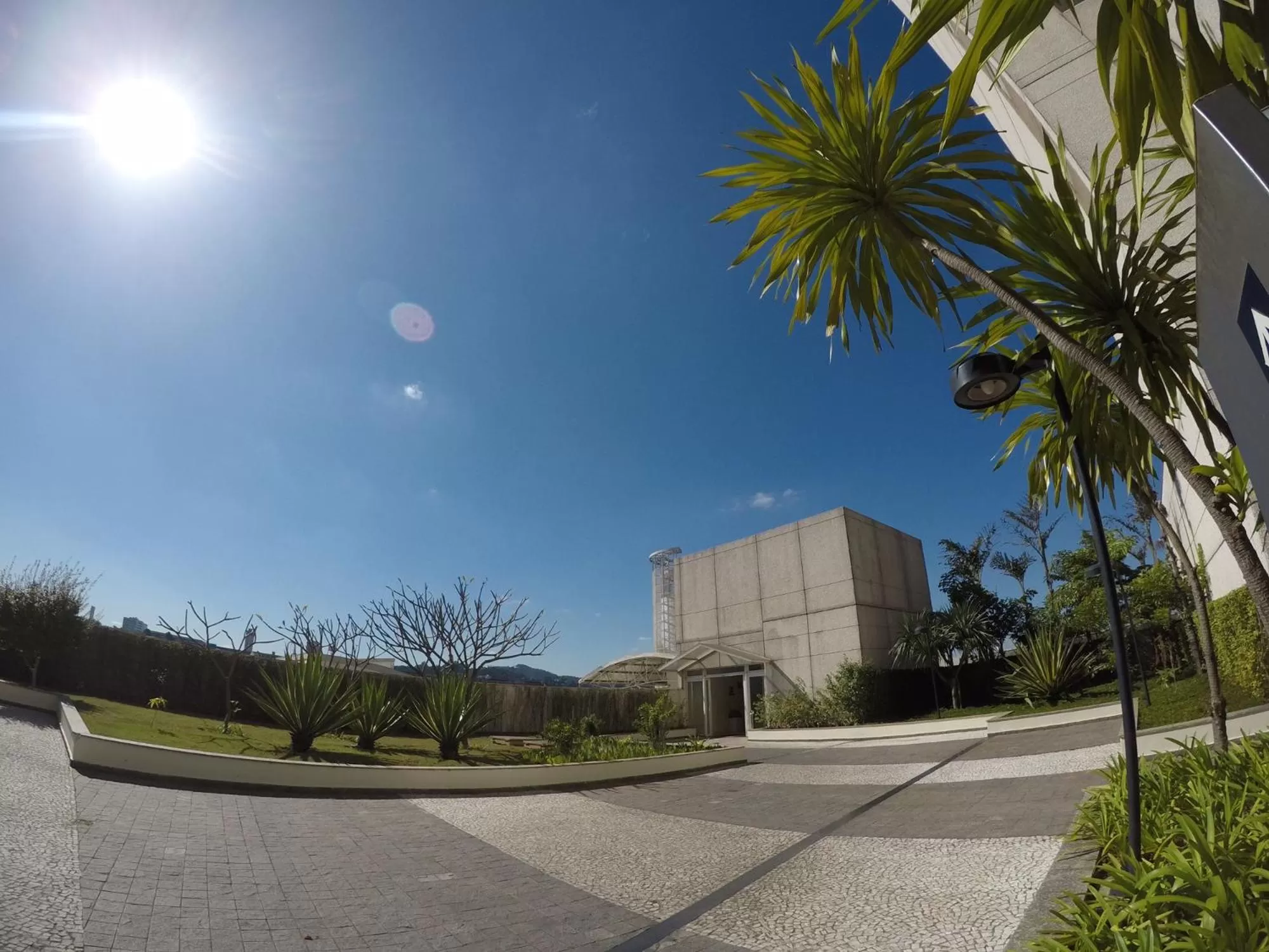 Other in ibis Tambore