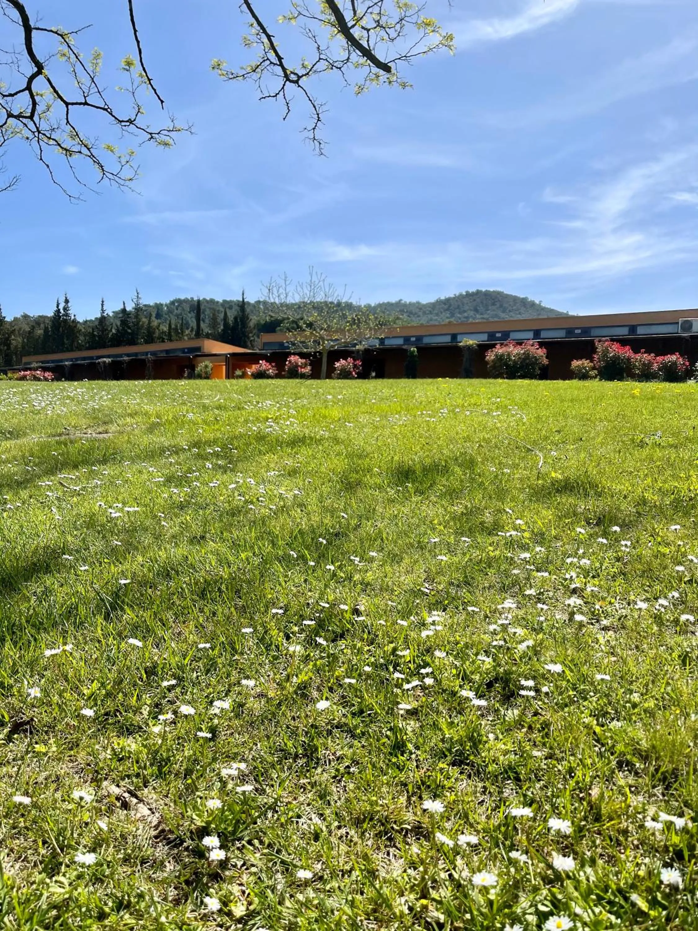 Garden in Mas Salvi Country Boutique Hotel