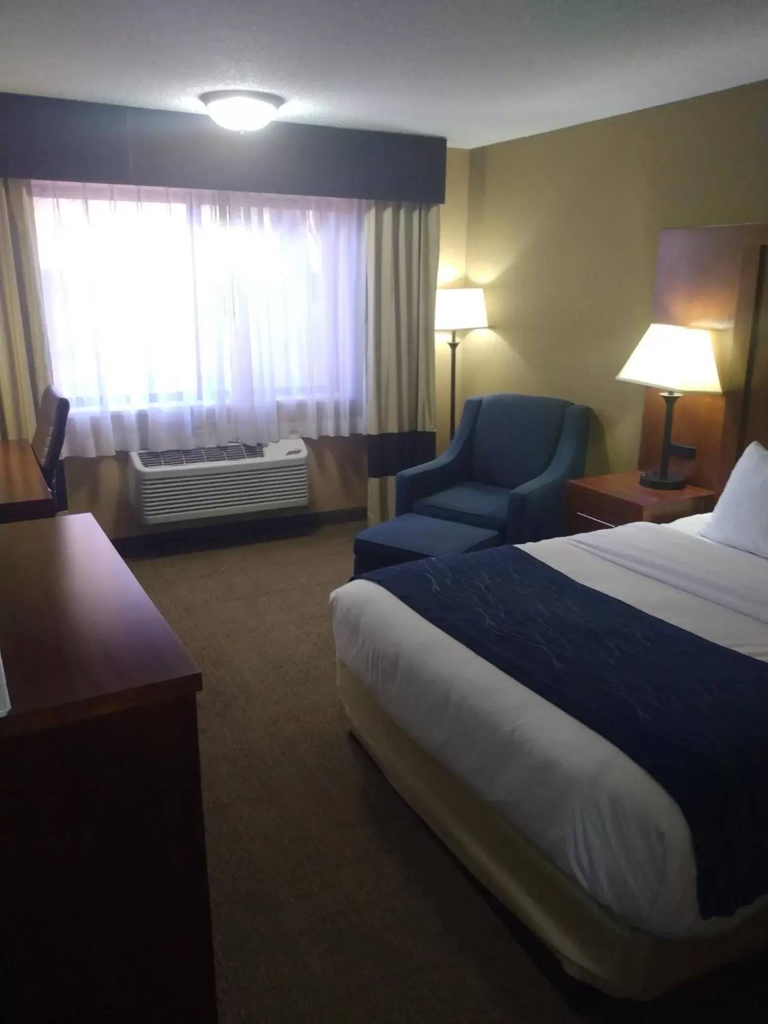 Queen Room with Accessible Tub - Accessible/Non-Smoking in Comfort Inn Grand Junction I-70