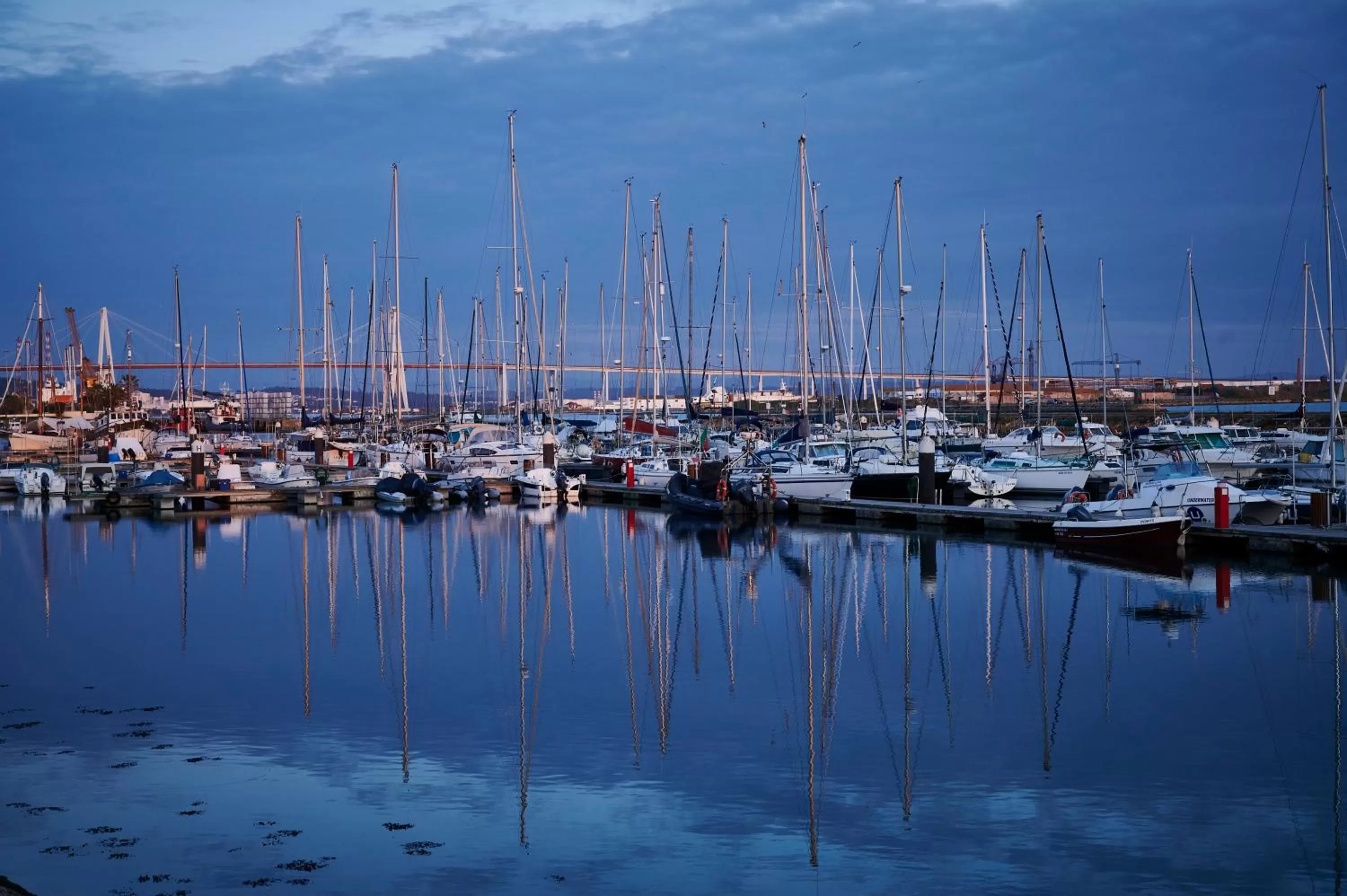 Neighbourhood in Vila Branca Guesthouse - Palacete