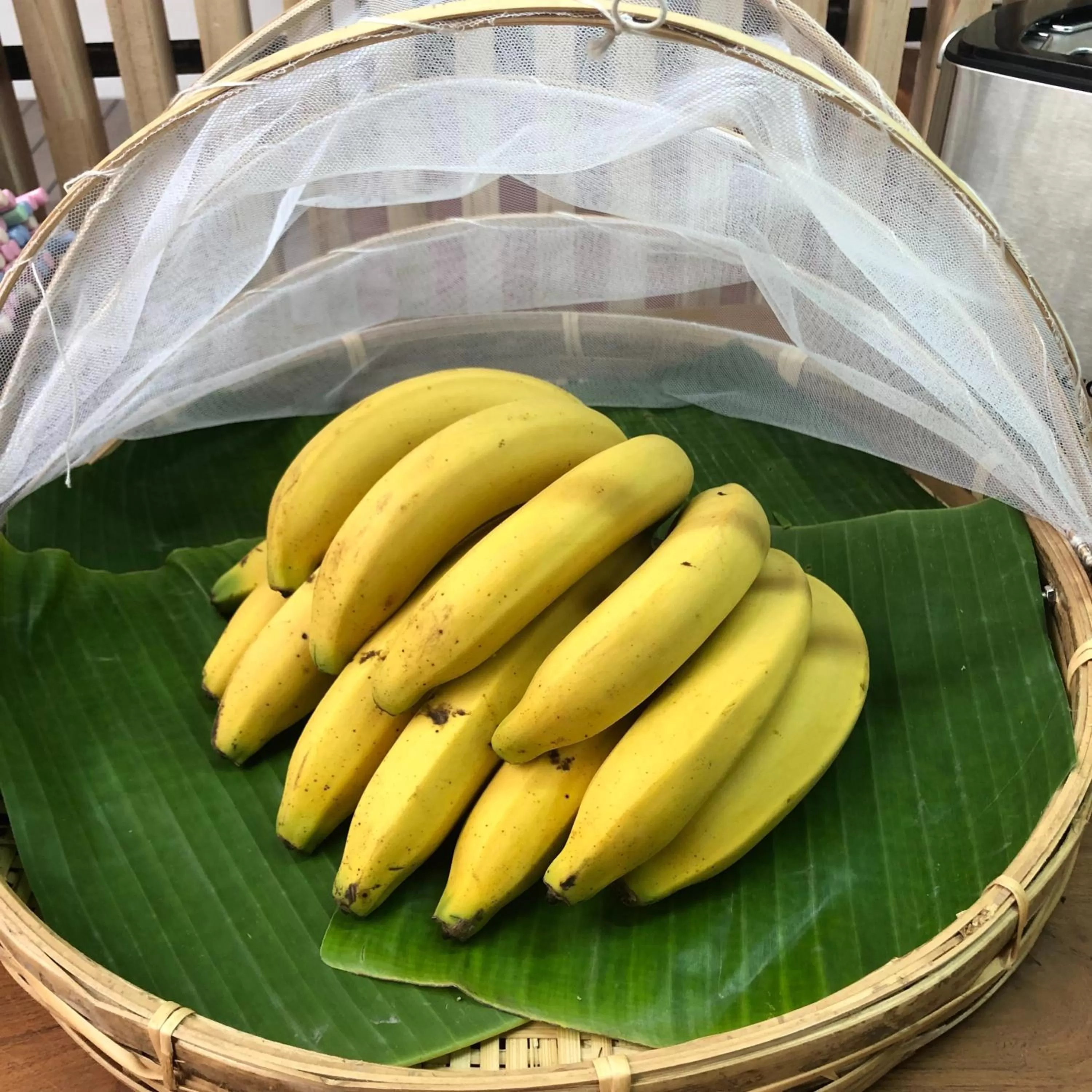 Food and drinks in Sylvis Hostel Chiangmai