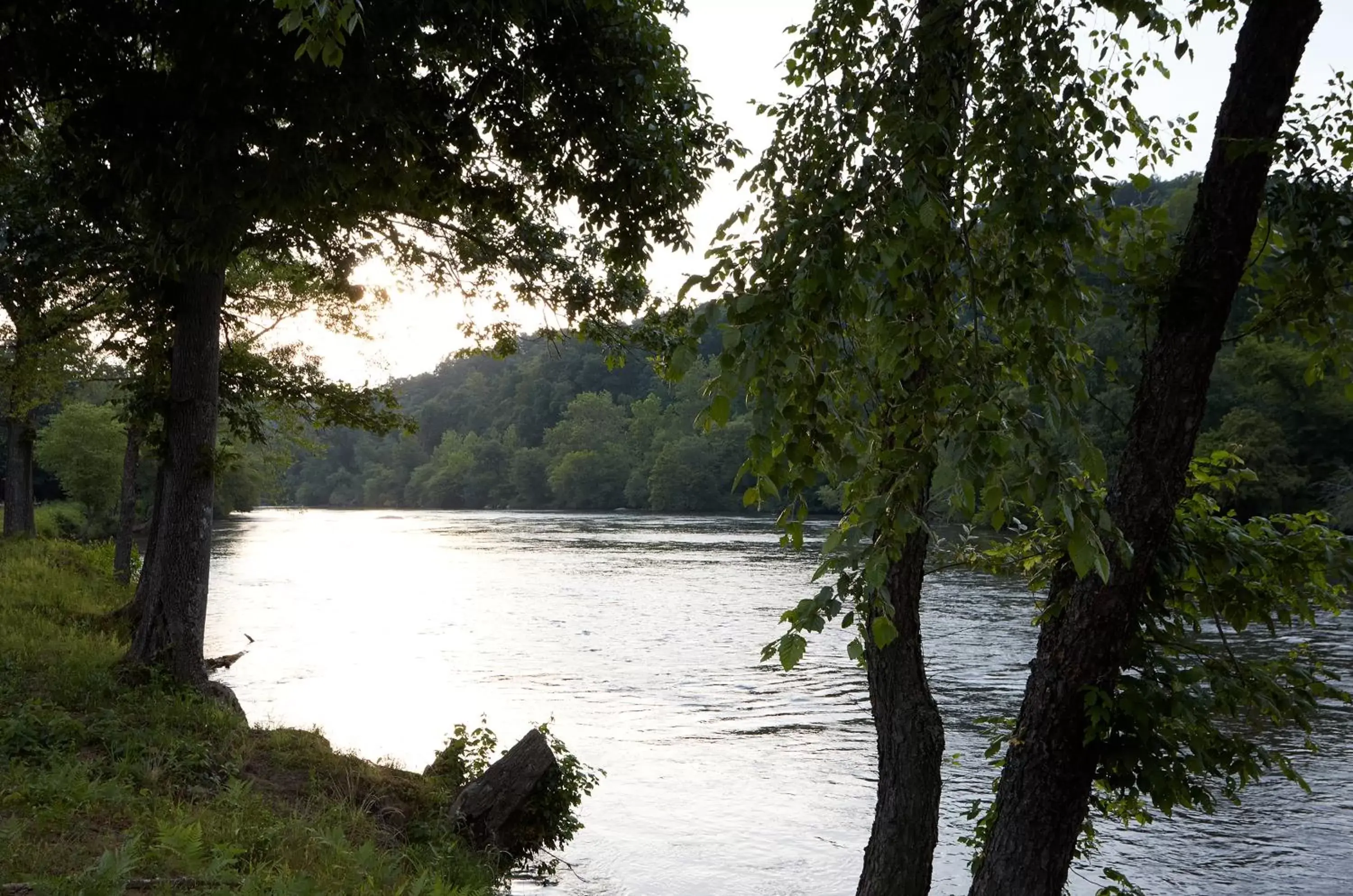 Natural landscape in Asheville River Cabins