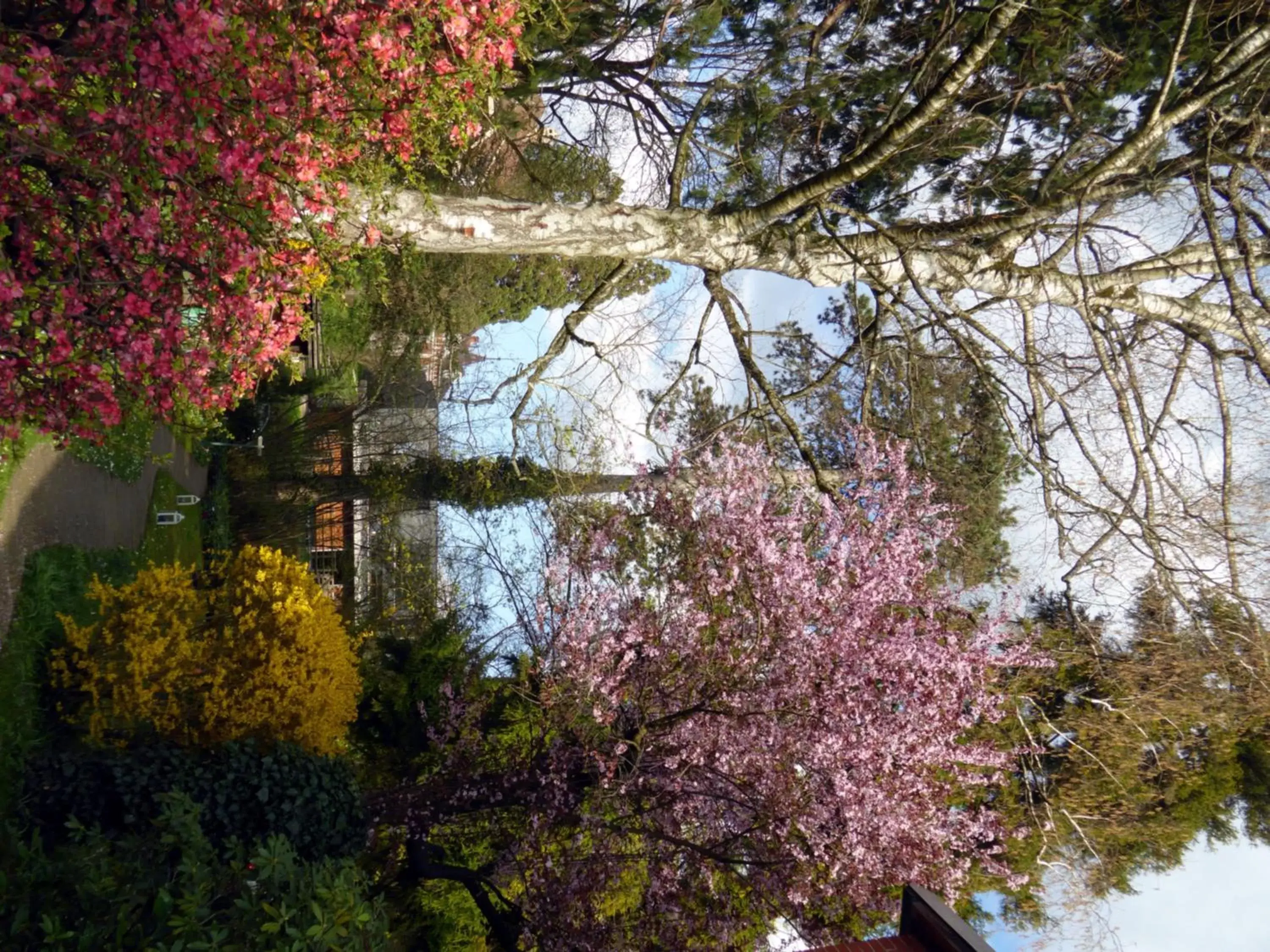 Garden, Natural Landscape in Chez Jean et Daisy