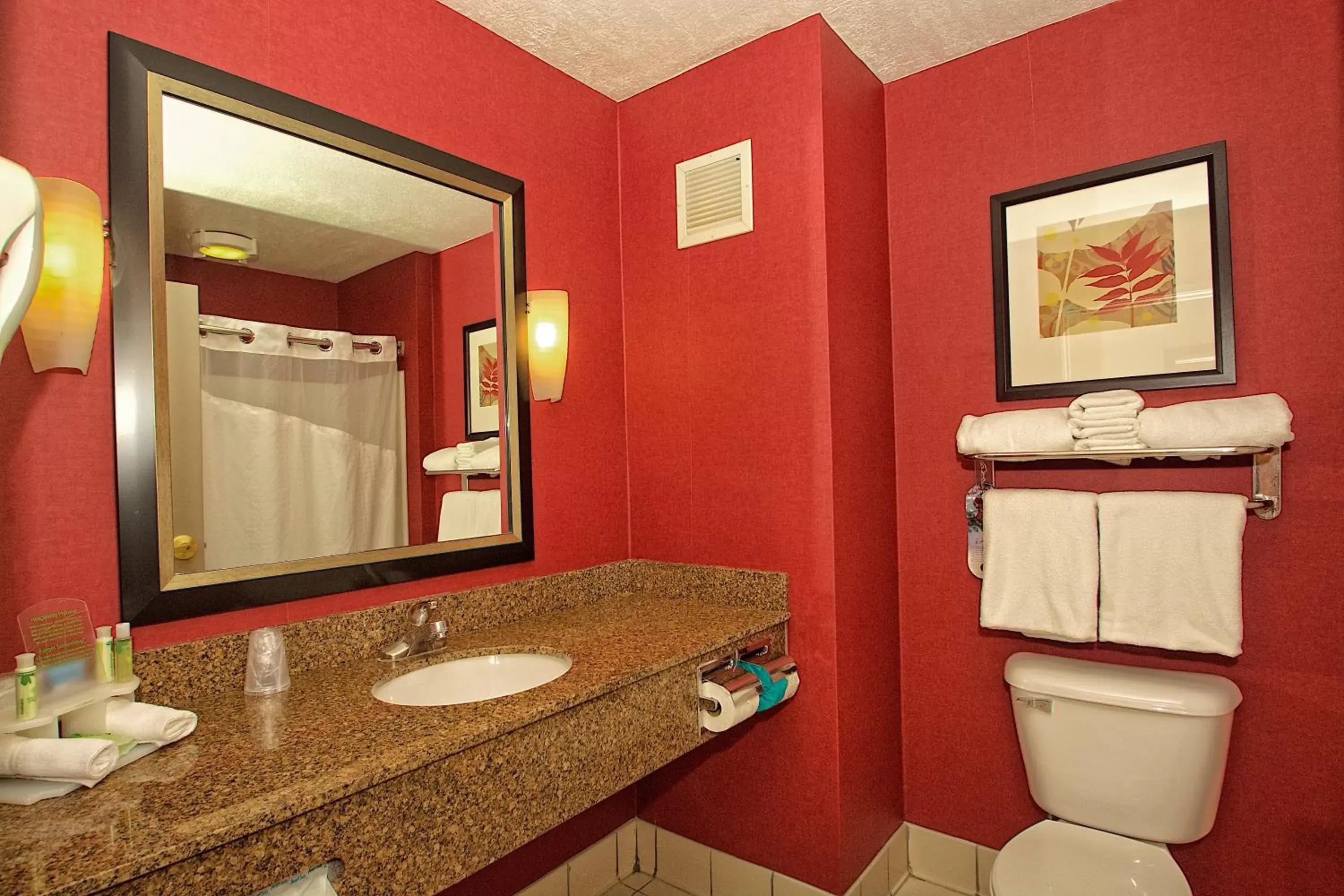 Bathroom in Holiday Inn Express Ogden, an IHG Hotel