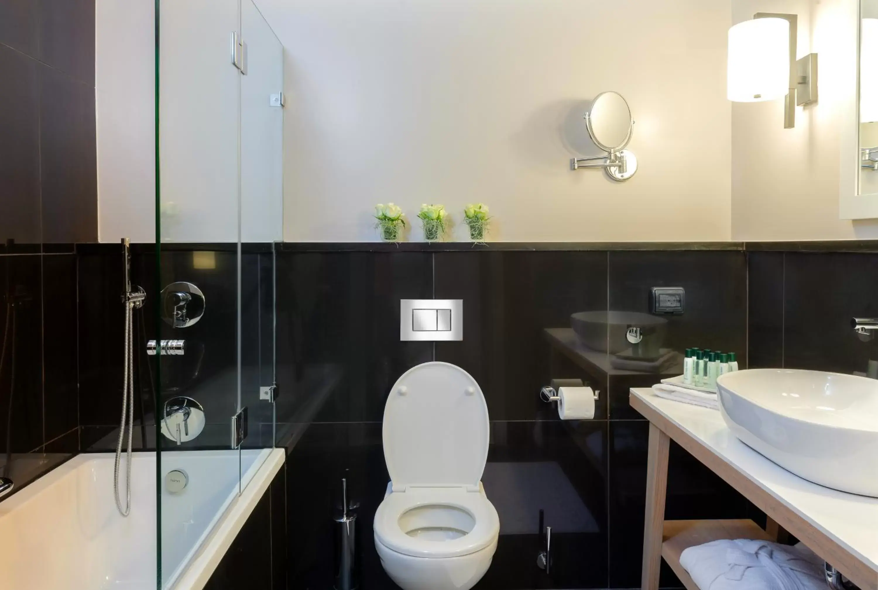 Toilet, Bathroom in Herods Herzliya