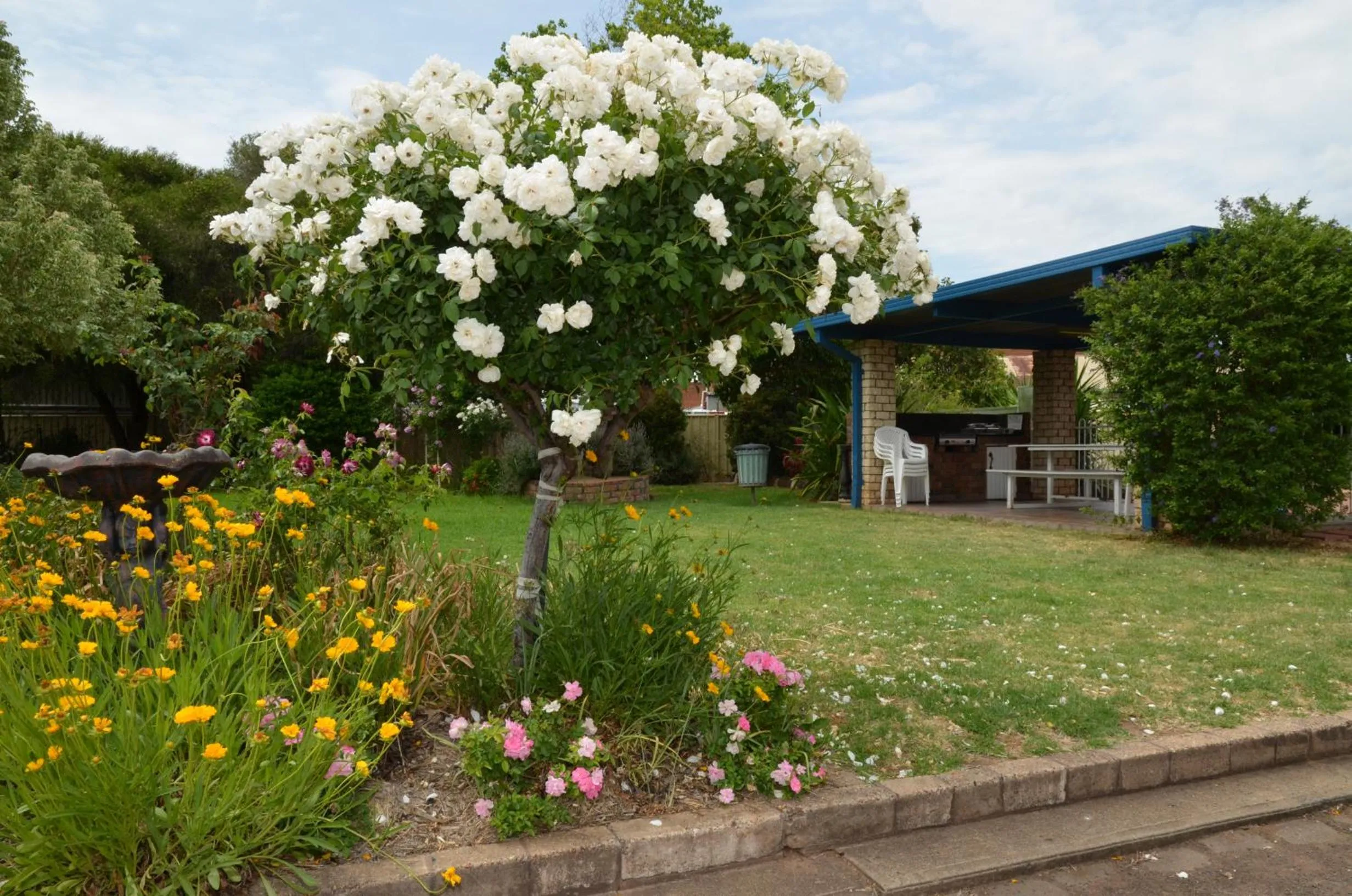 Garden in Orana Windmill Motel