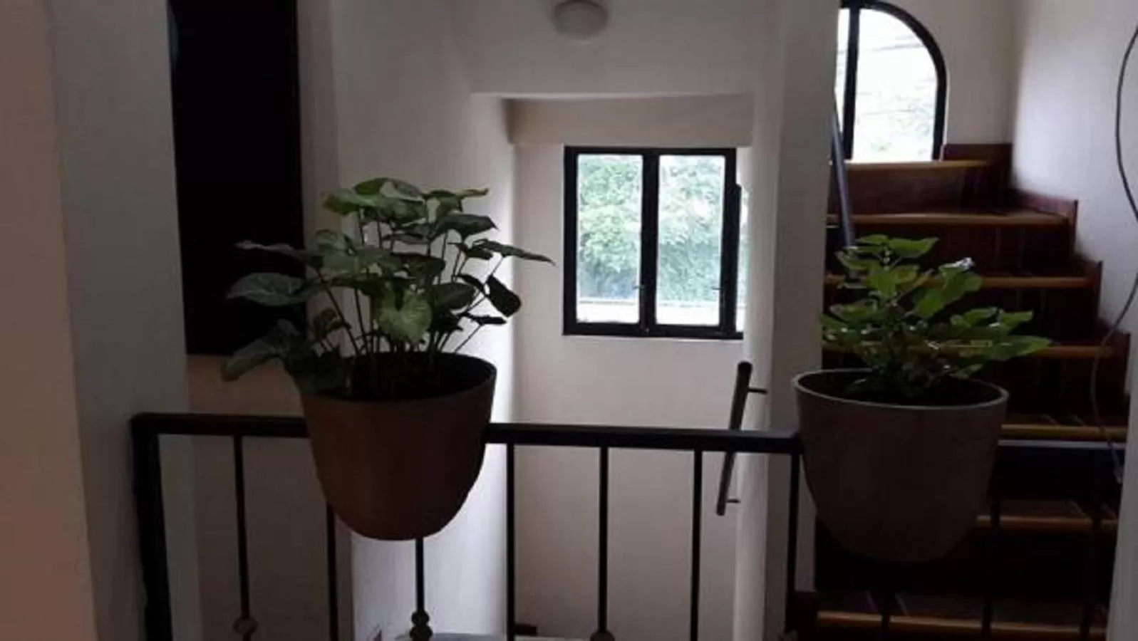 Other in Casa Echavarria