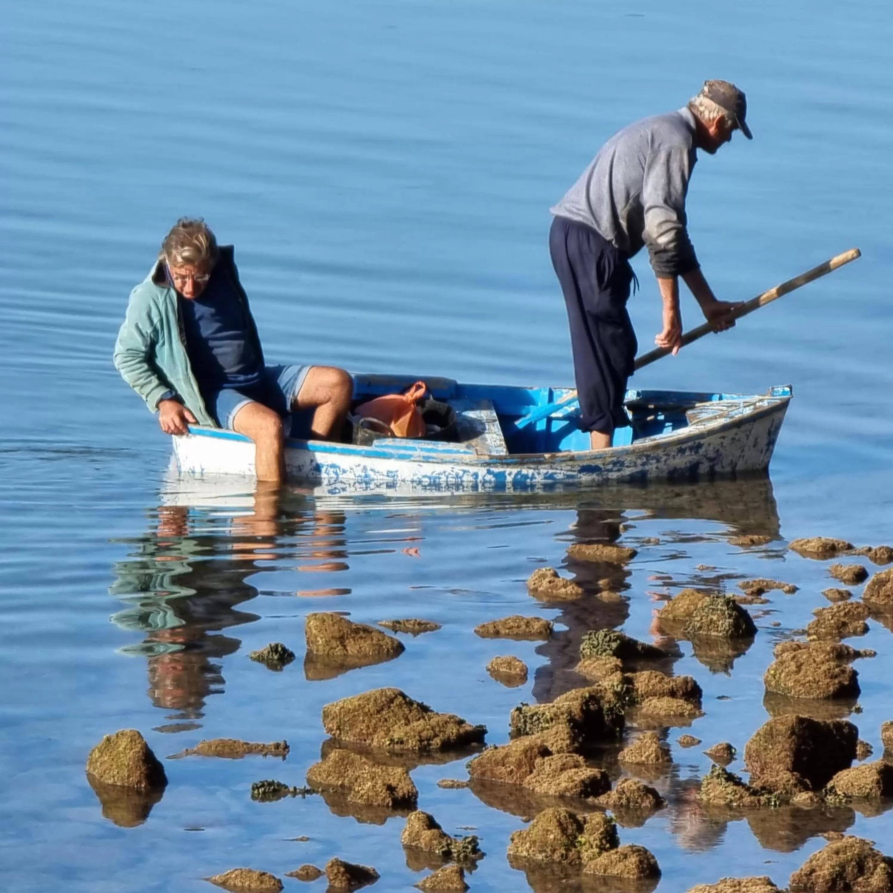View (from property/room) in Hotel Miramar