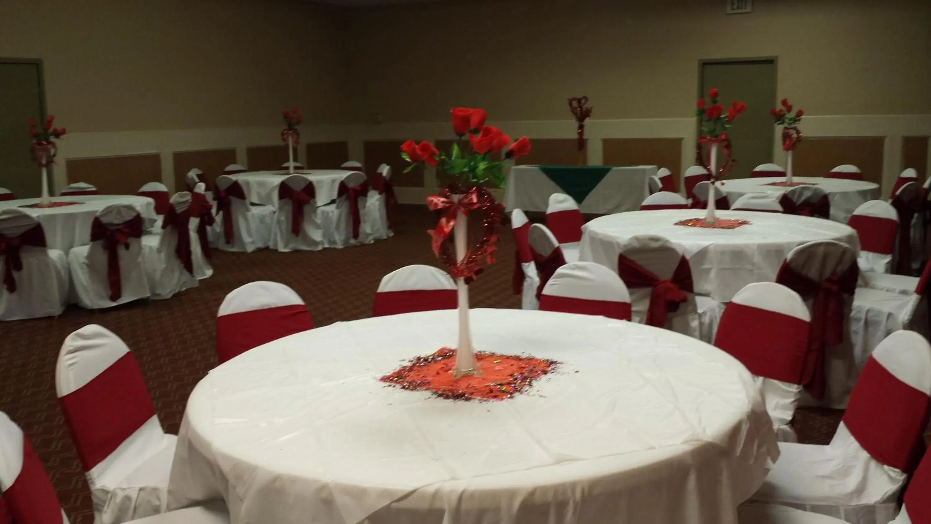 Banquet/Function facilities, Banquet Facilities in Romana Hotel - Houston Southwest