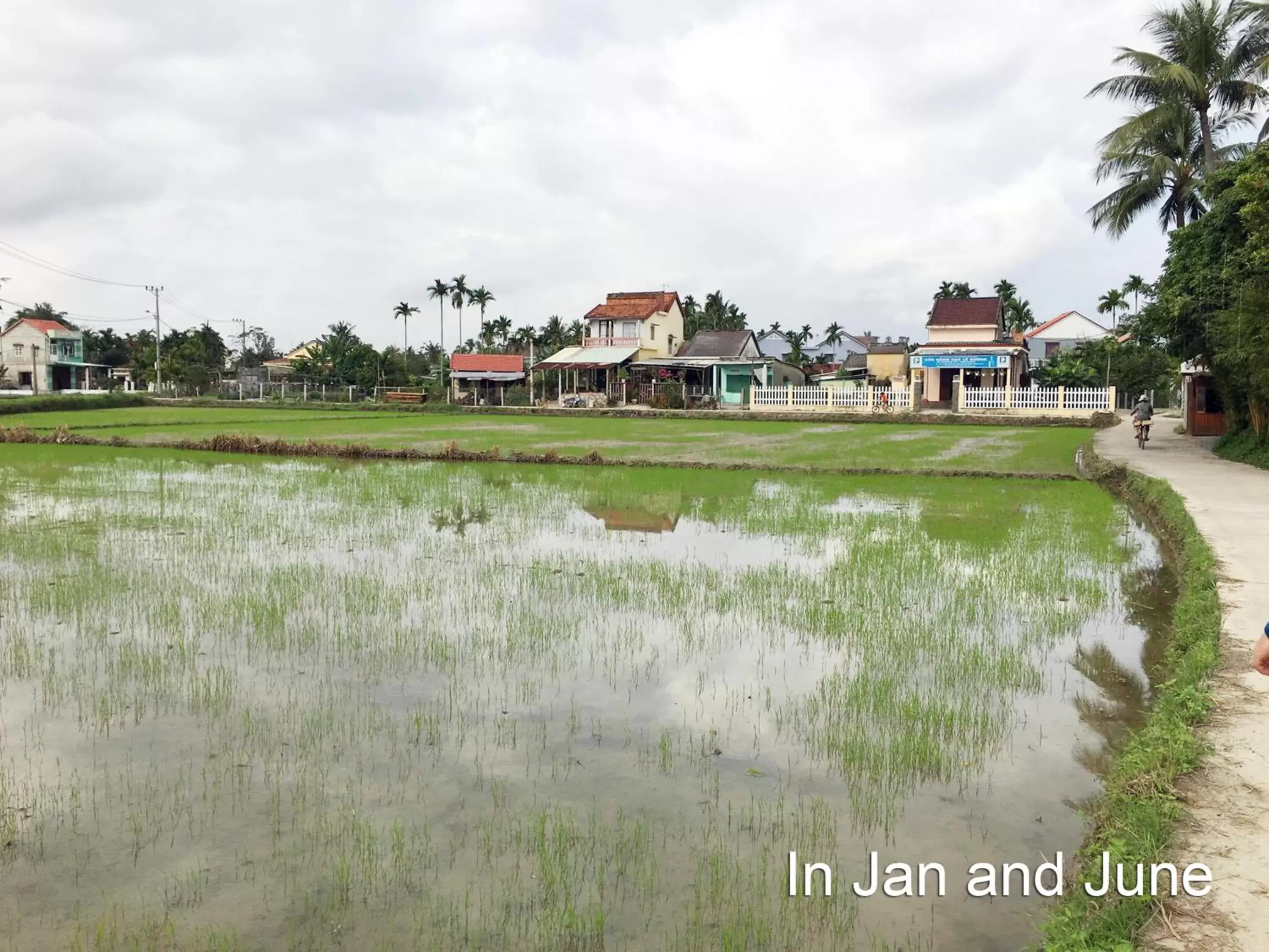 Hoi An Chic - Green Retreat