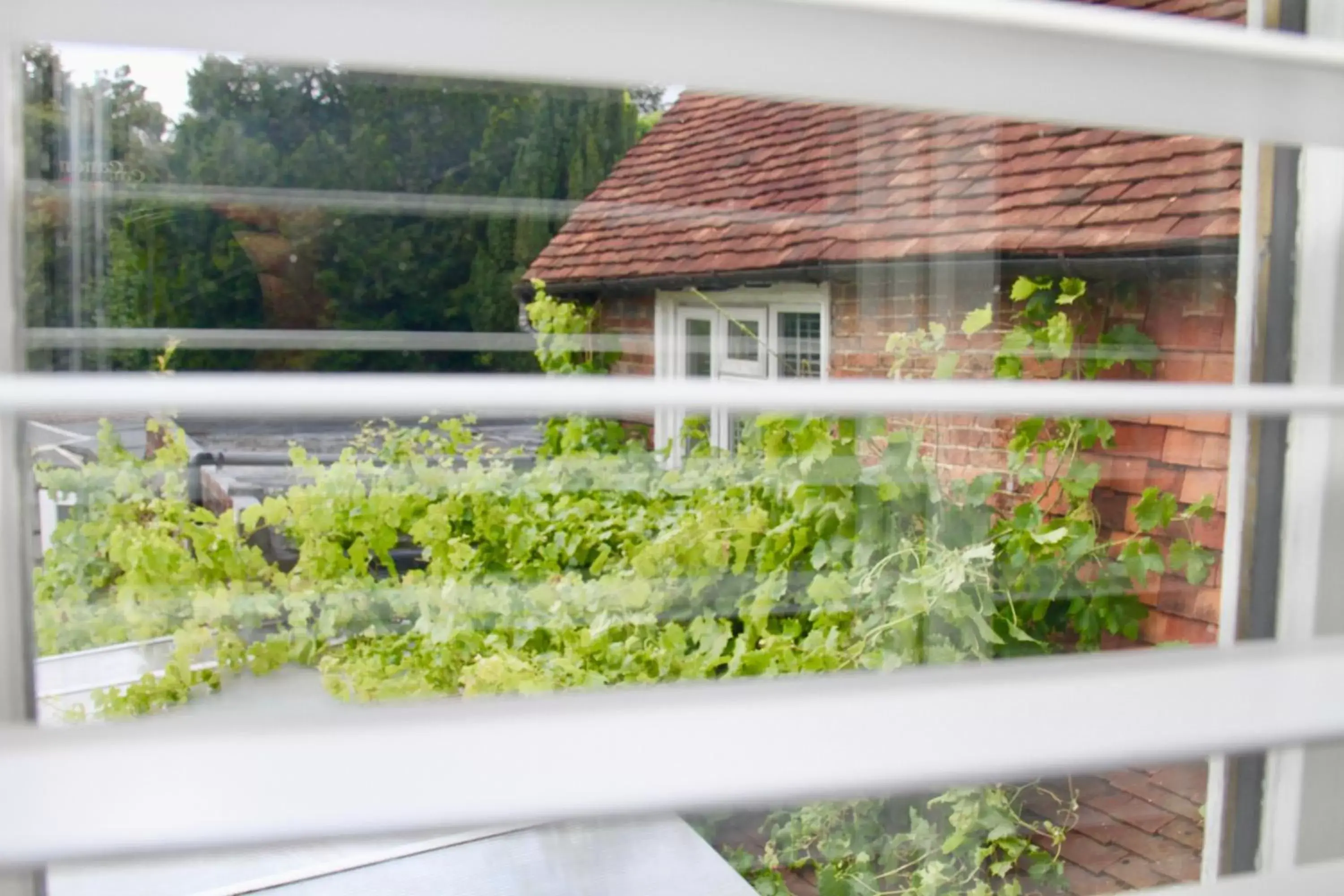 Garden view, Balcony/Terrace in Chequers Inn