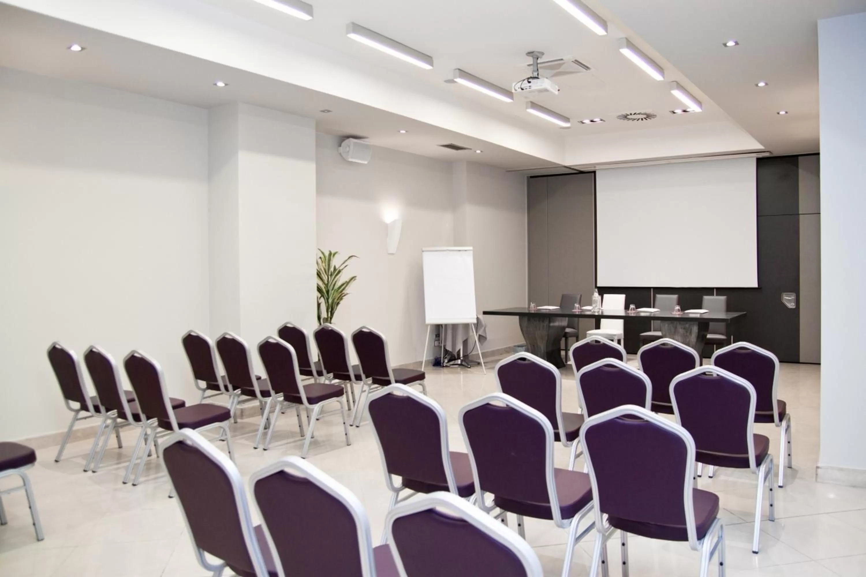 Business facilities in Plaza Hotel Catania