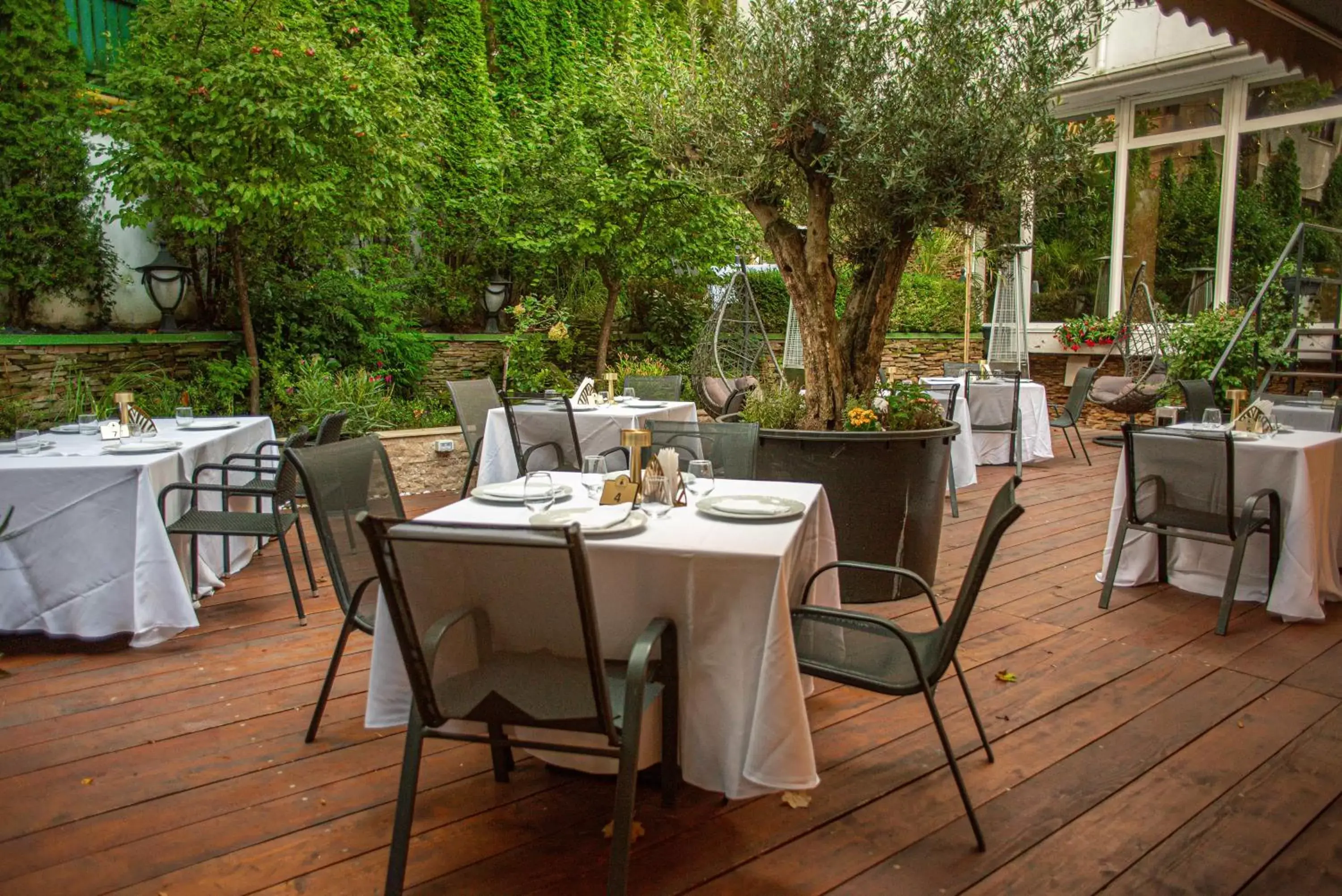 Garden, Restaurant/Places to Eat in Hotel Carpathia