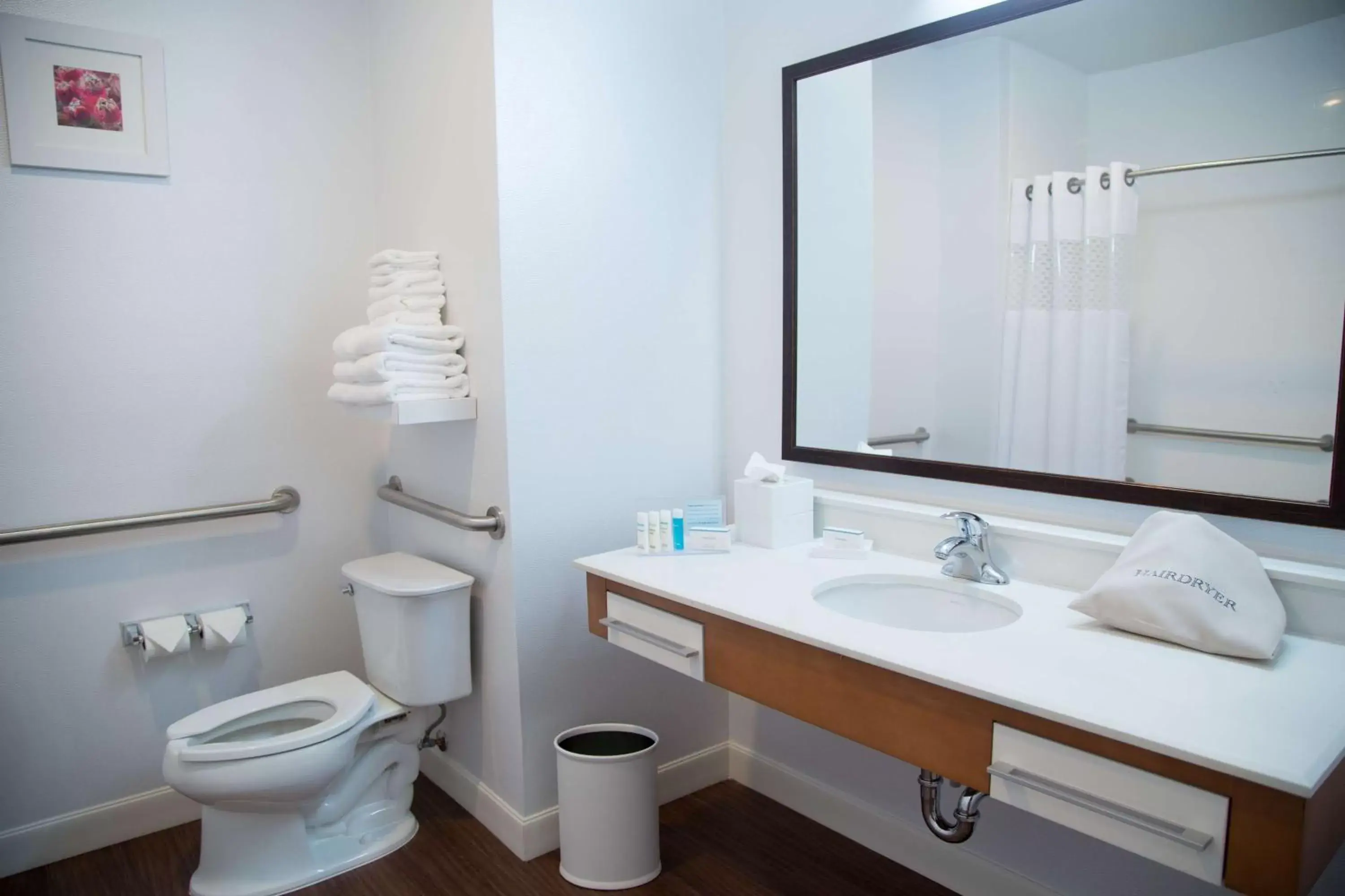 Bathroom in Hampton Inn and Suites by Hilton McKinney