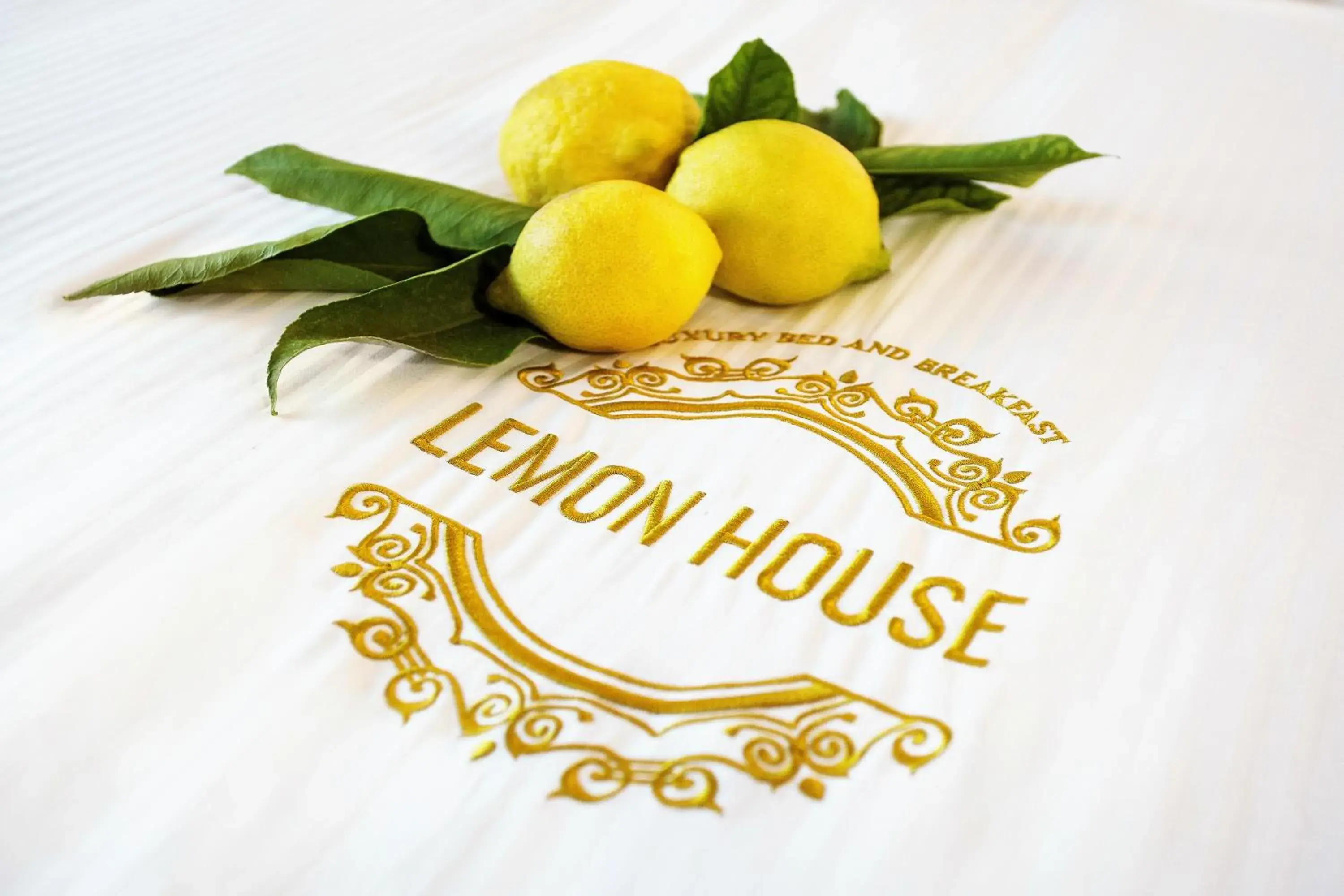 Property logo or sign in Lemon House