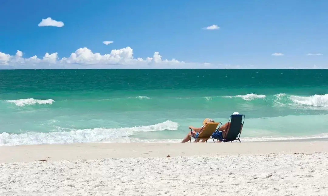 Beach in The Sands of Treasure Island