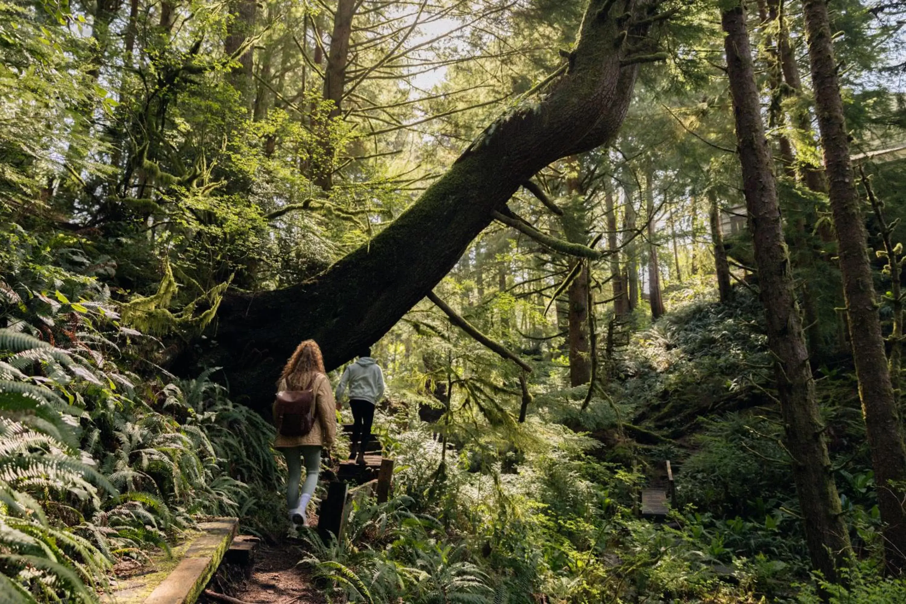 Hiking, Other Animals in Salishan Coastal Lodge