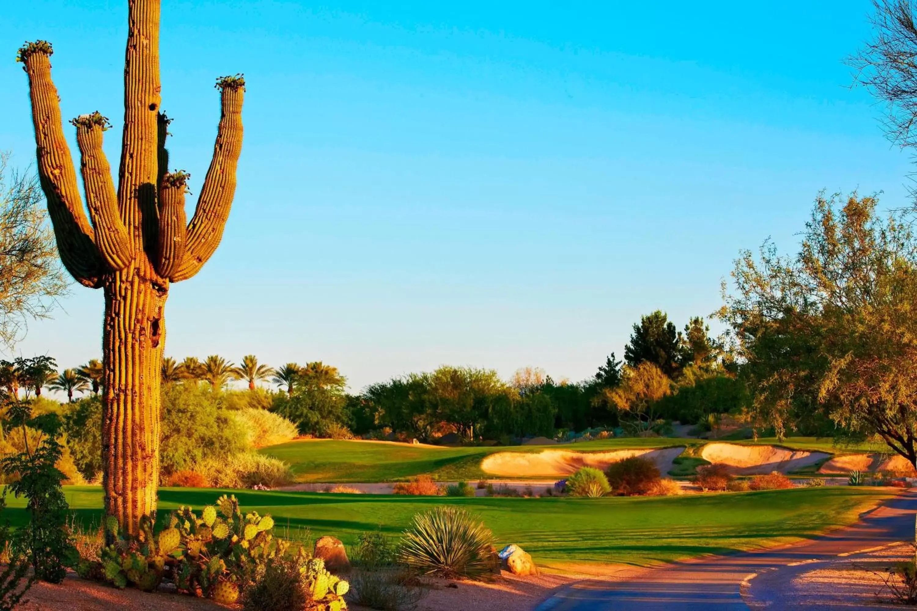 Golfcourse in JW Marriott Phoenix Desert Ridge Resort & Spa