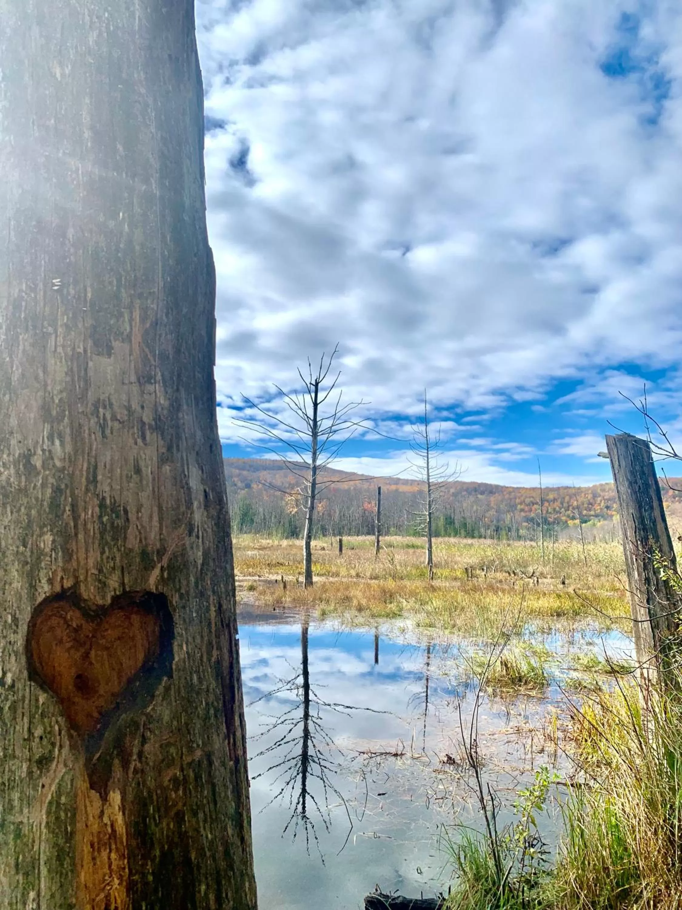 Hiking in Au Gré Du Temps - Gîte B&B