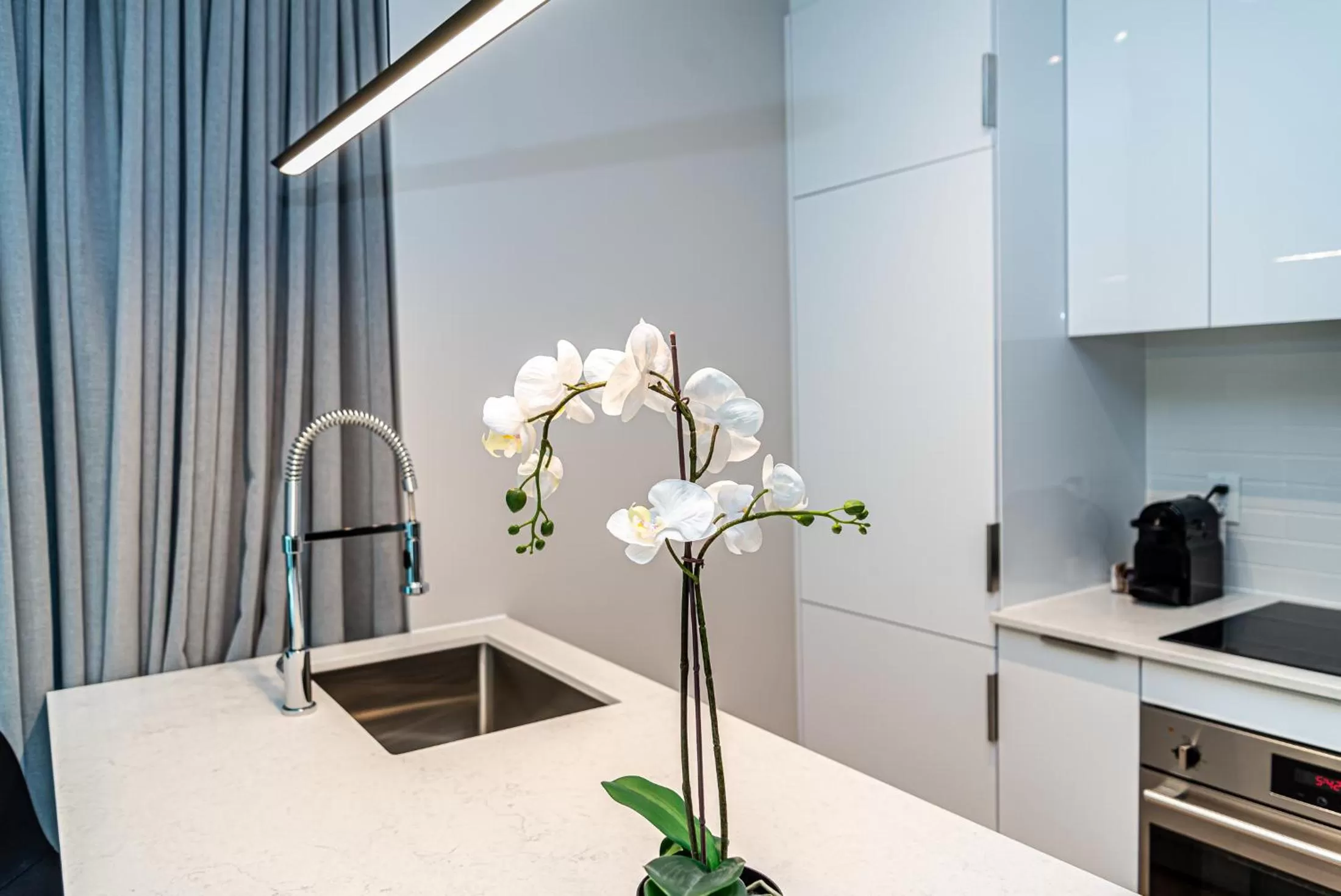 Kitchen or kitchenette in WERFY Luxury Apart-Hotel