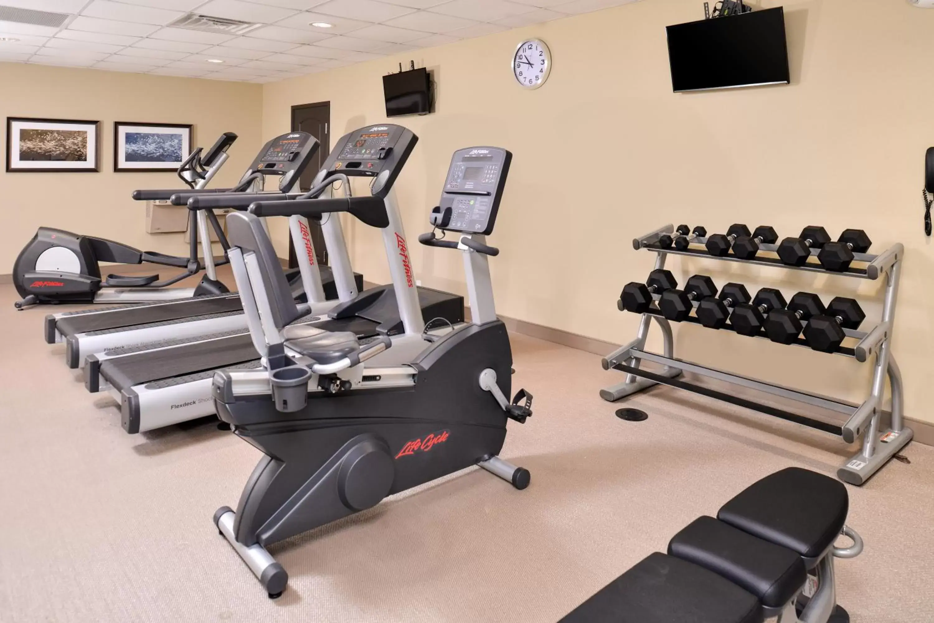 Spa and wellness centre/facilities, Fitness Center/Facilities in Staybridge Suites Rochester, an IHG Hotel