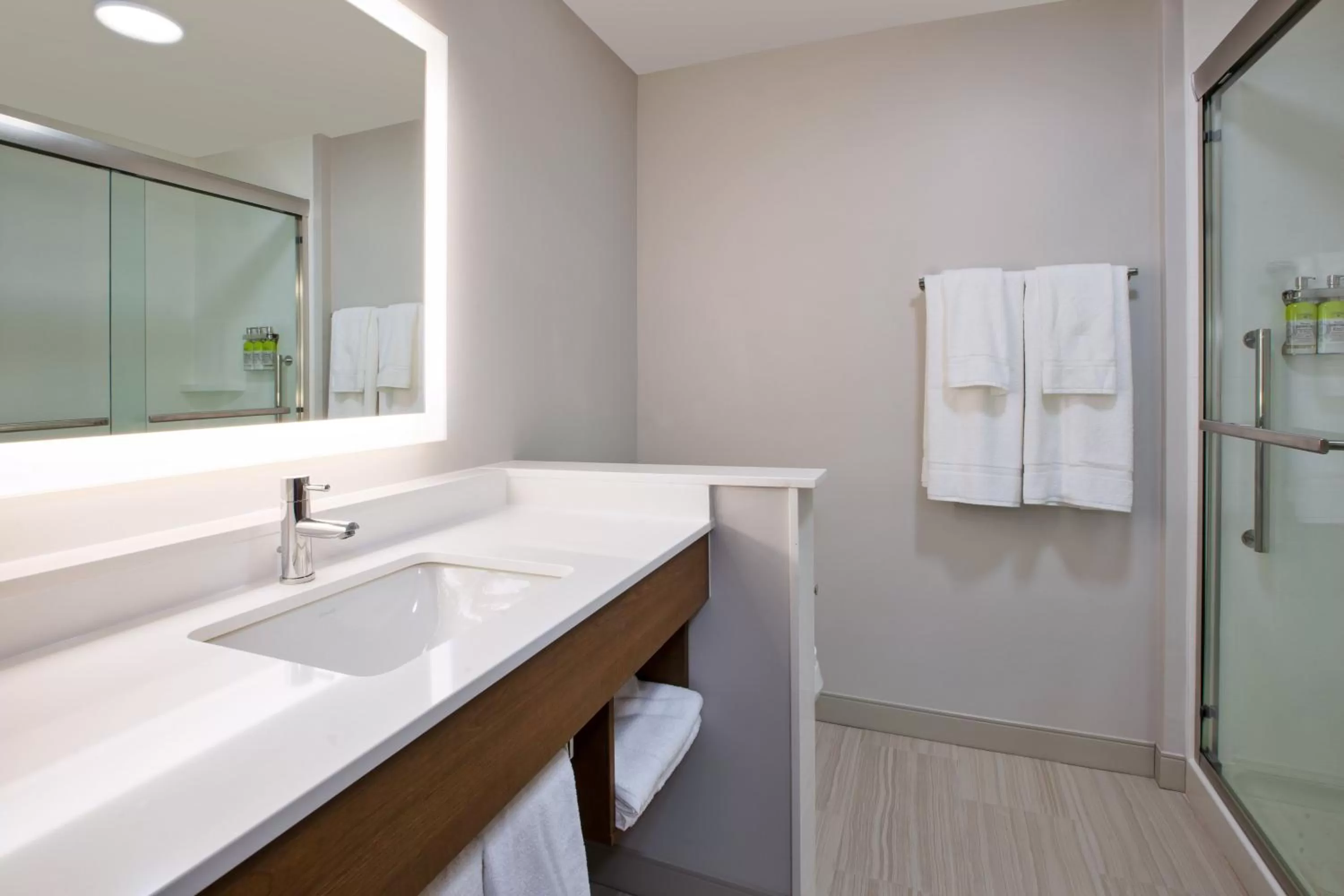 Bathroom in Holiday Inn Express & Suites Wooster by IHG