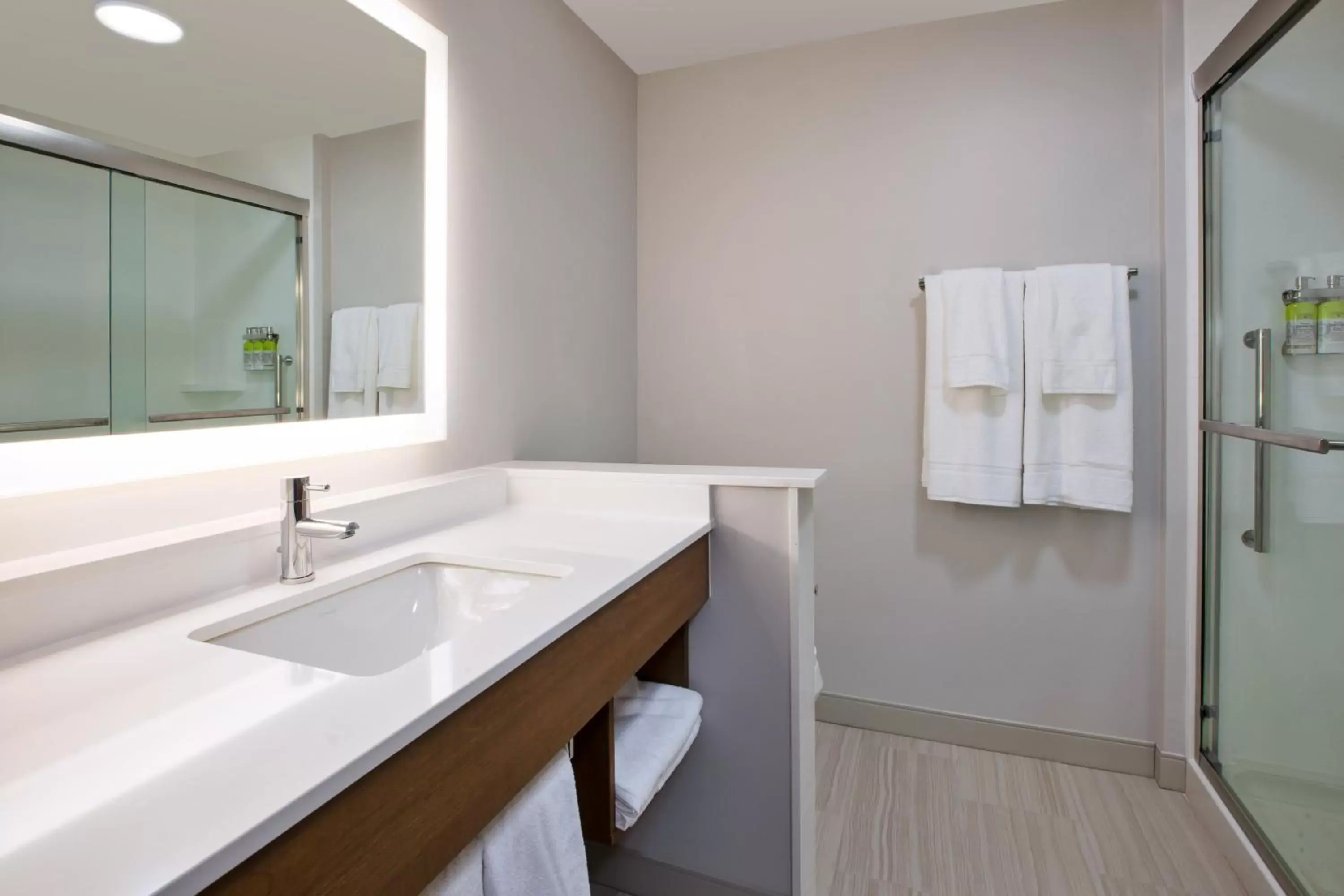 Bathroom in Holiday Inn Express & Suites - Wooster, an IHG Hotel