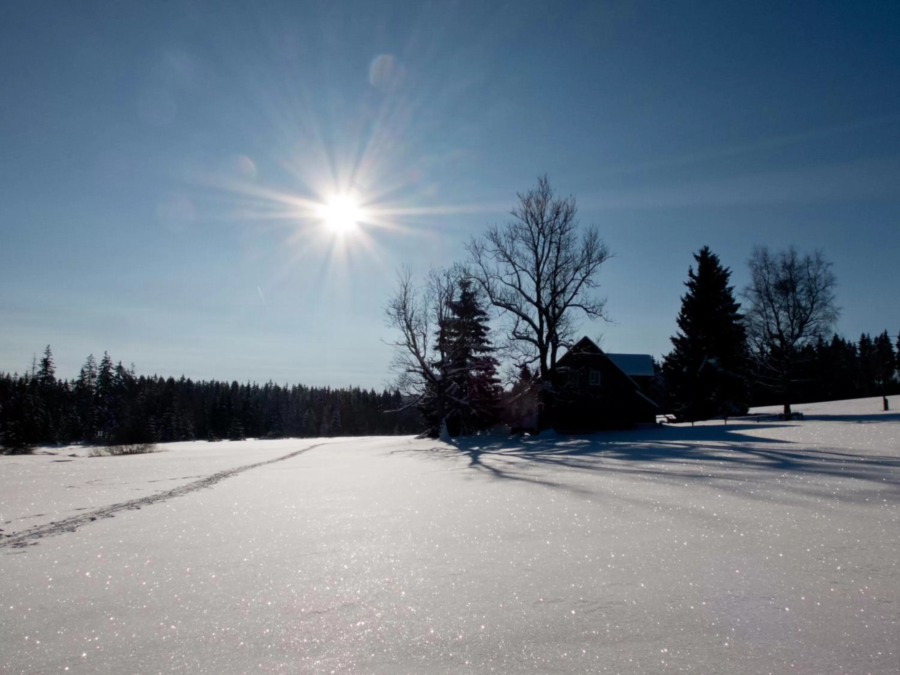 Natural landscape in Hotel Bon