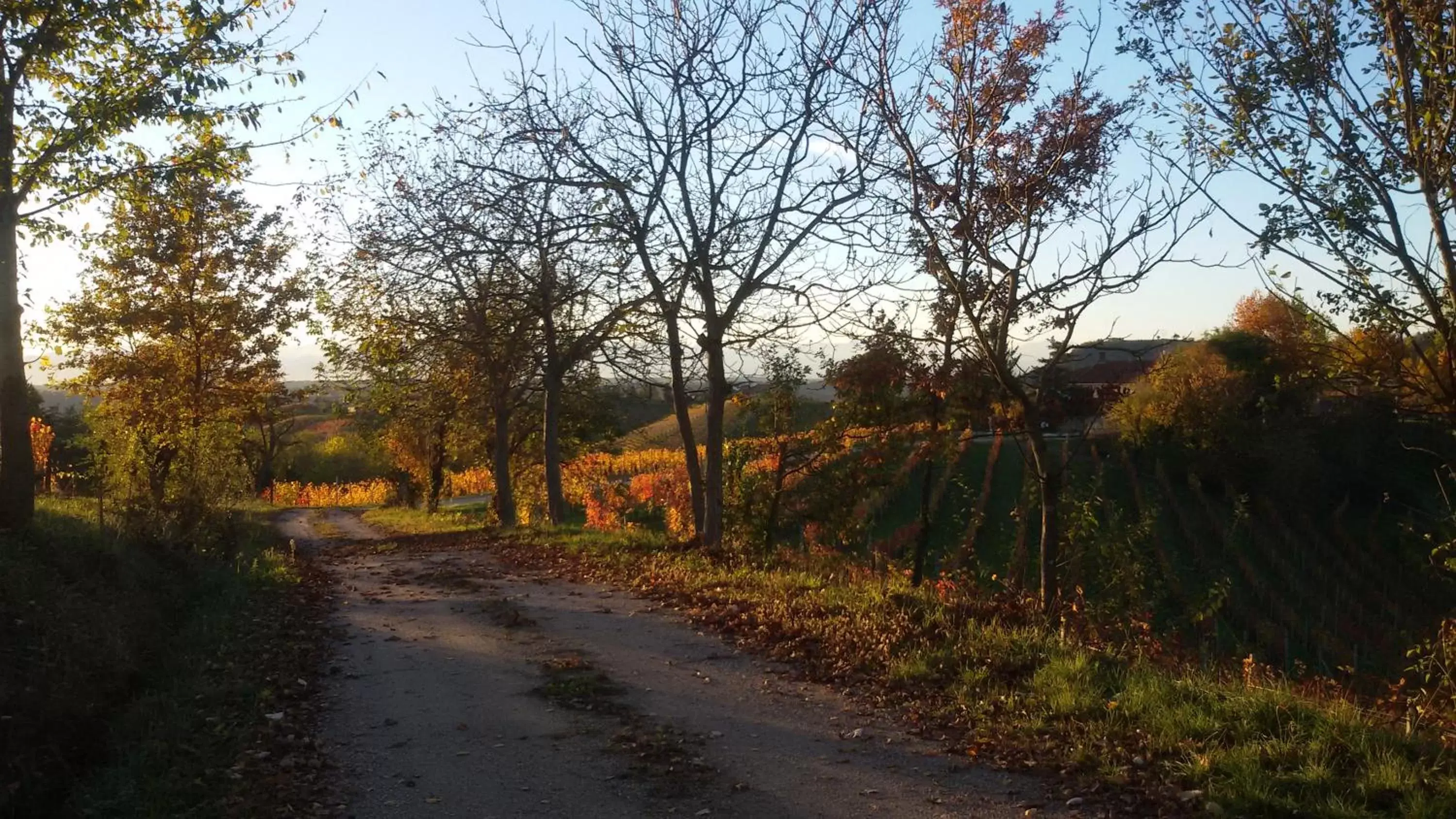 On site in Cascina Torello