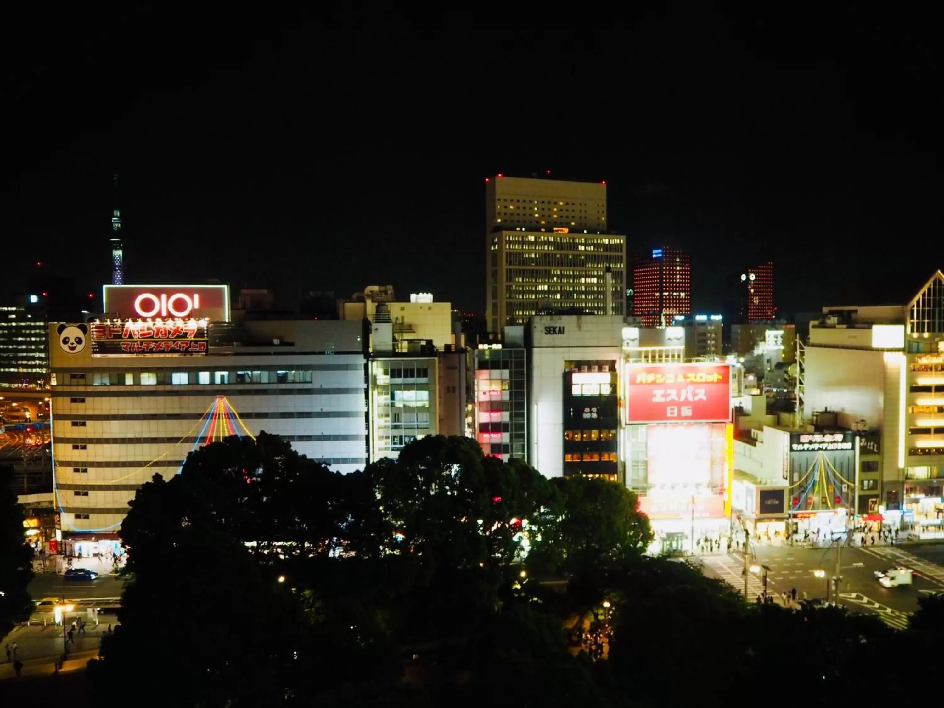 City view in Apa Hotel Keisei Ueno-Ekimae