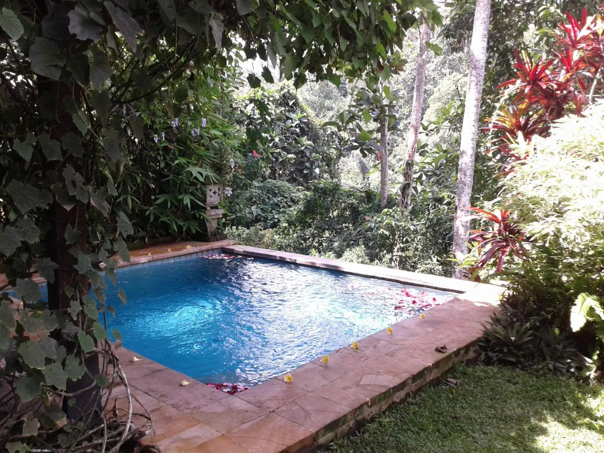 Swimming Pool in Anahata Villas and Spa Resort