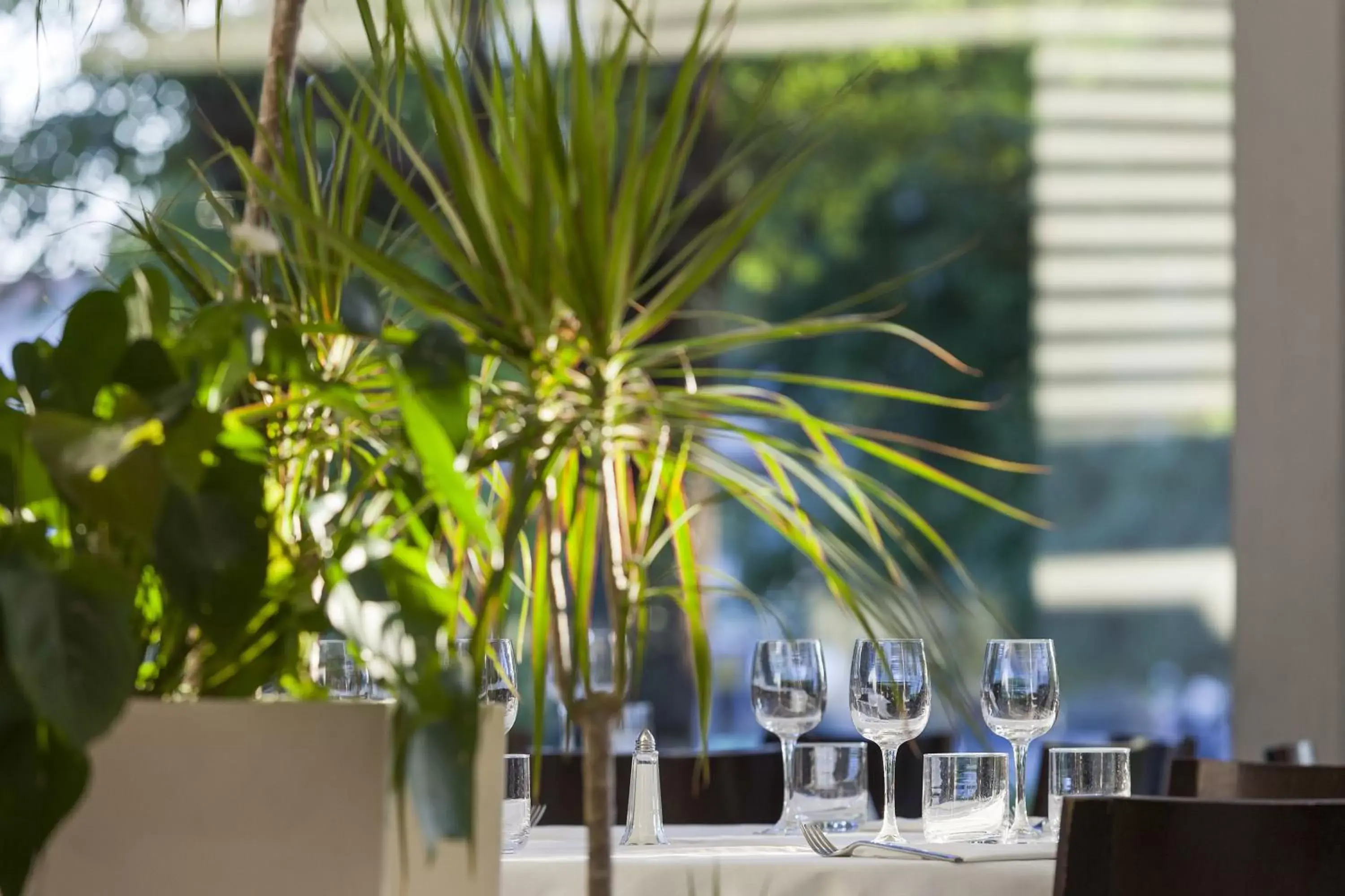 Restaurant/places to eat in Inverigo Hotel Restaurant/places to eat in Inverigo Hotel