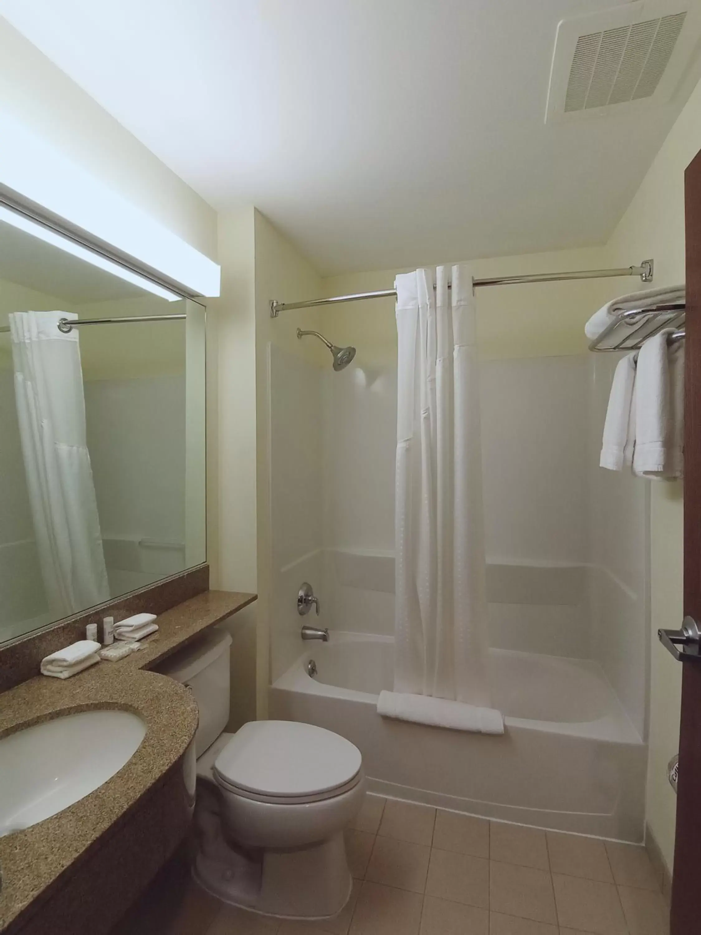 Bathroom in Microtel Inn and Suites by Wyndham Toluca