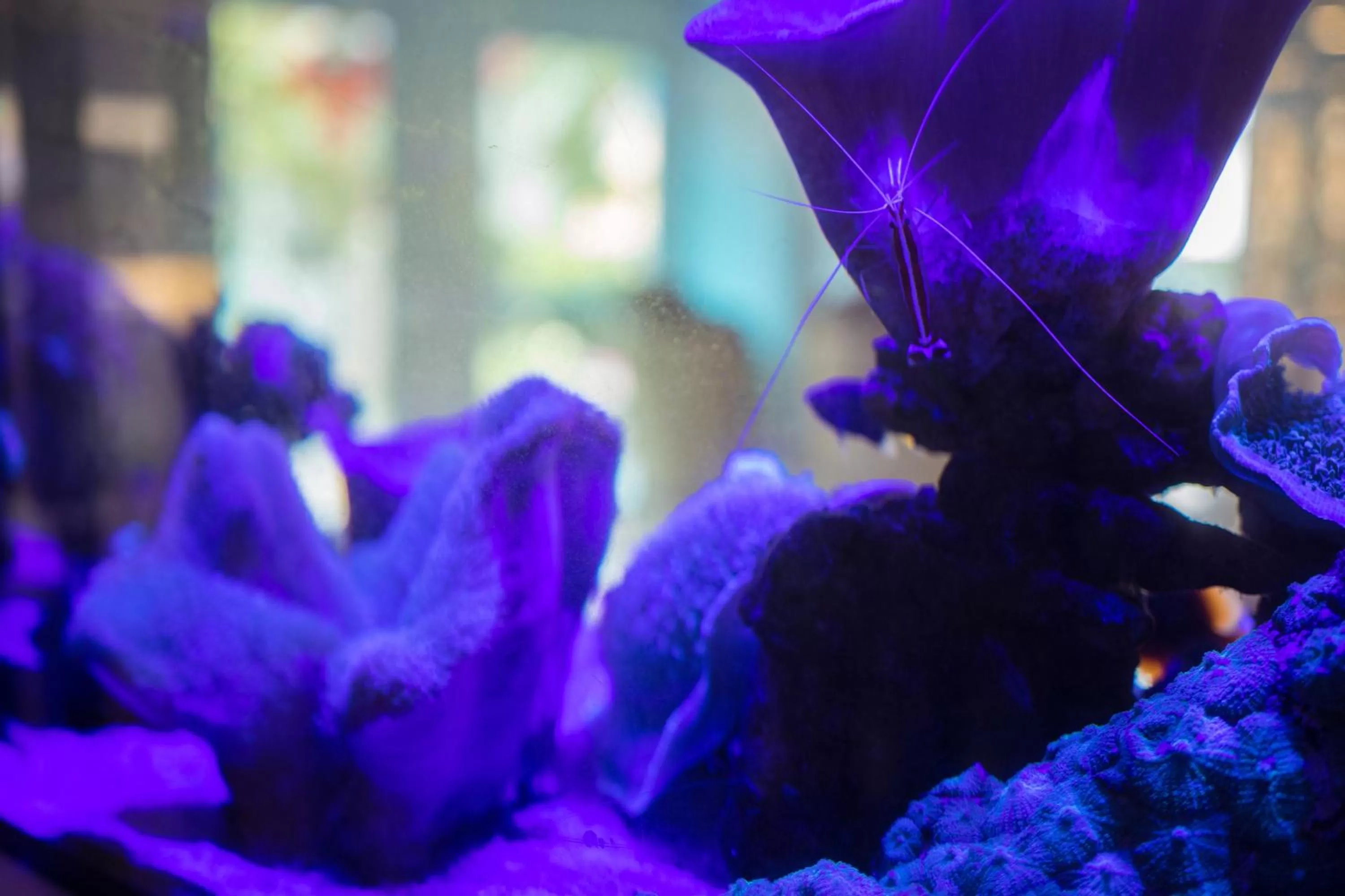 B-your home Hotel Don Mueang Airport Bangkok 如你家酒店