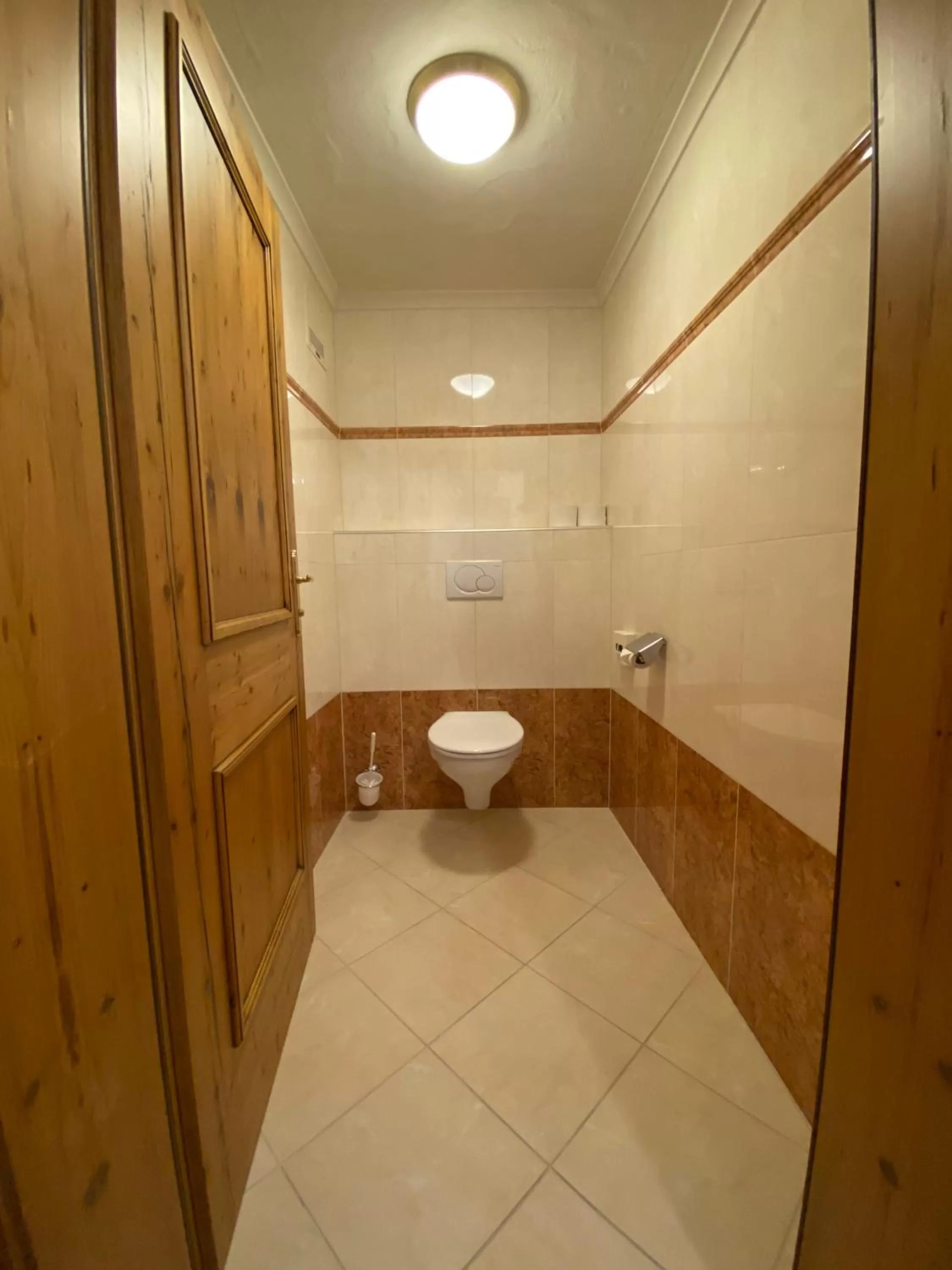 Toilet in Stammhaus im Hotel Alpine Palace