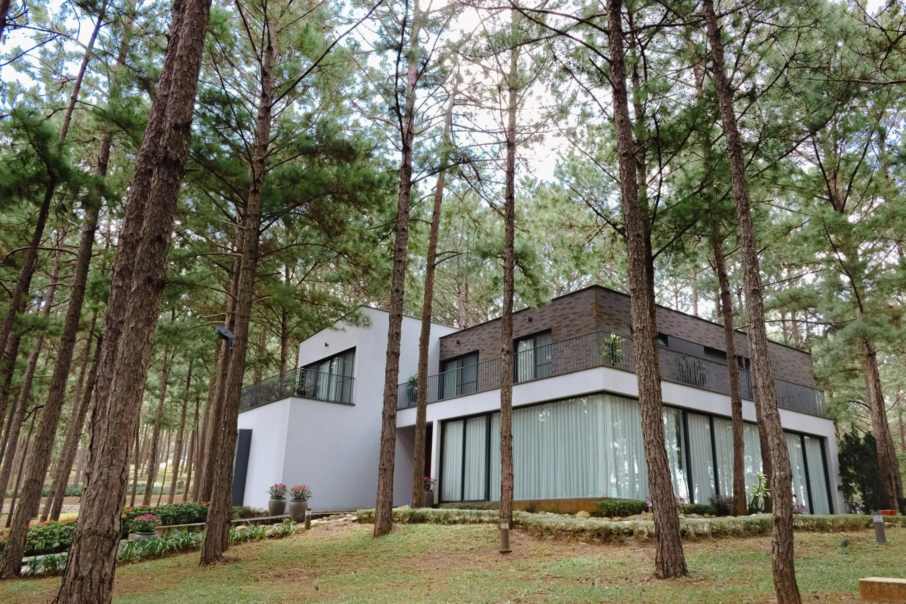 Spring in Terracotta Hotel & Resort Dalat