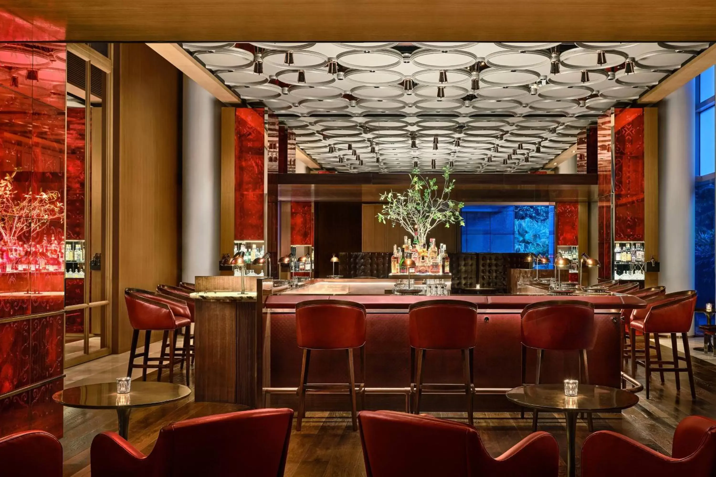 Restaurant/places to eat, Lounge/Bar in The Ritz-Carlton, Millenia Singapore